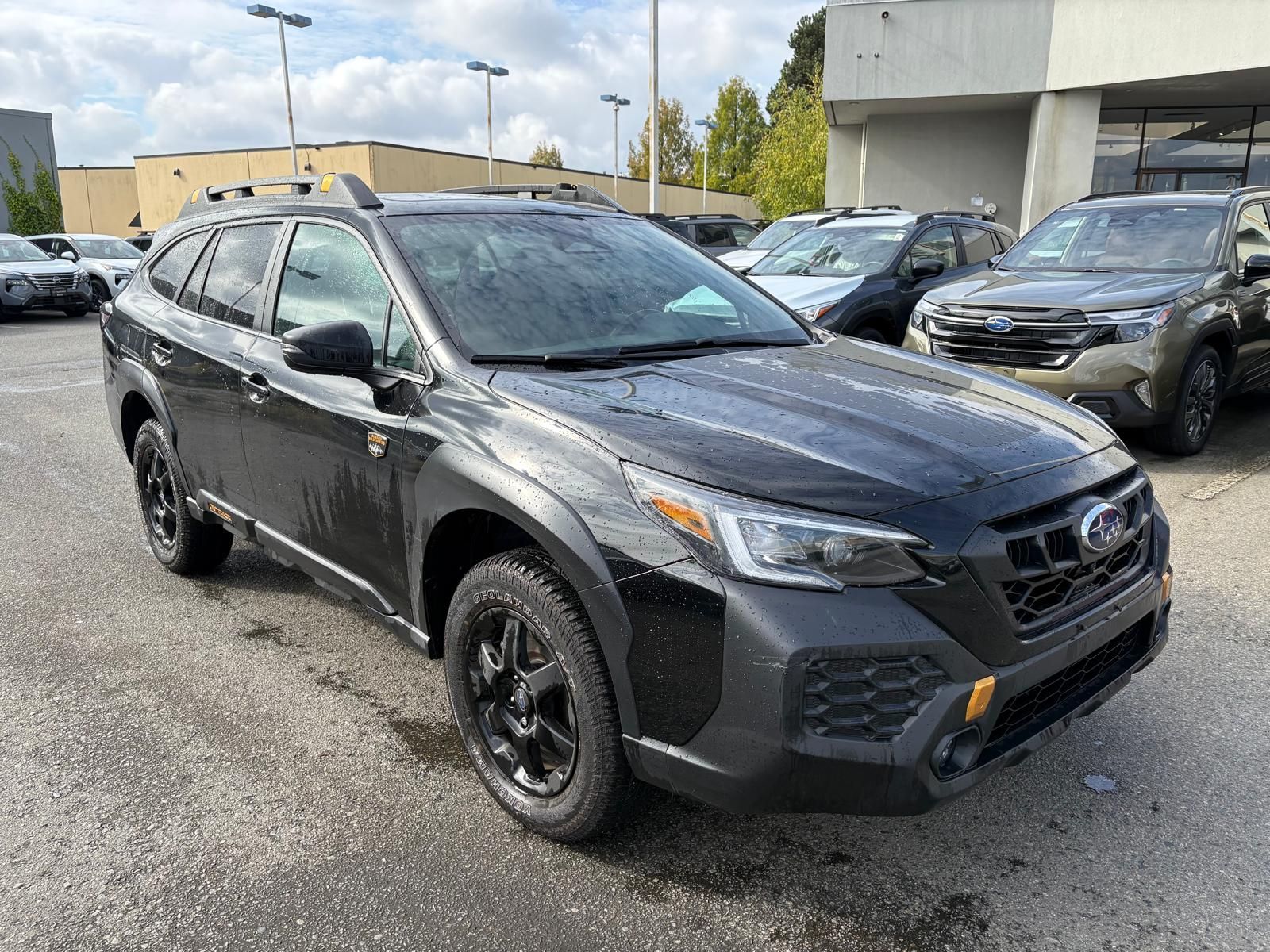 2025  Outback