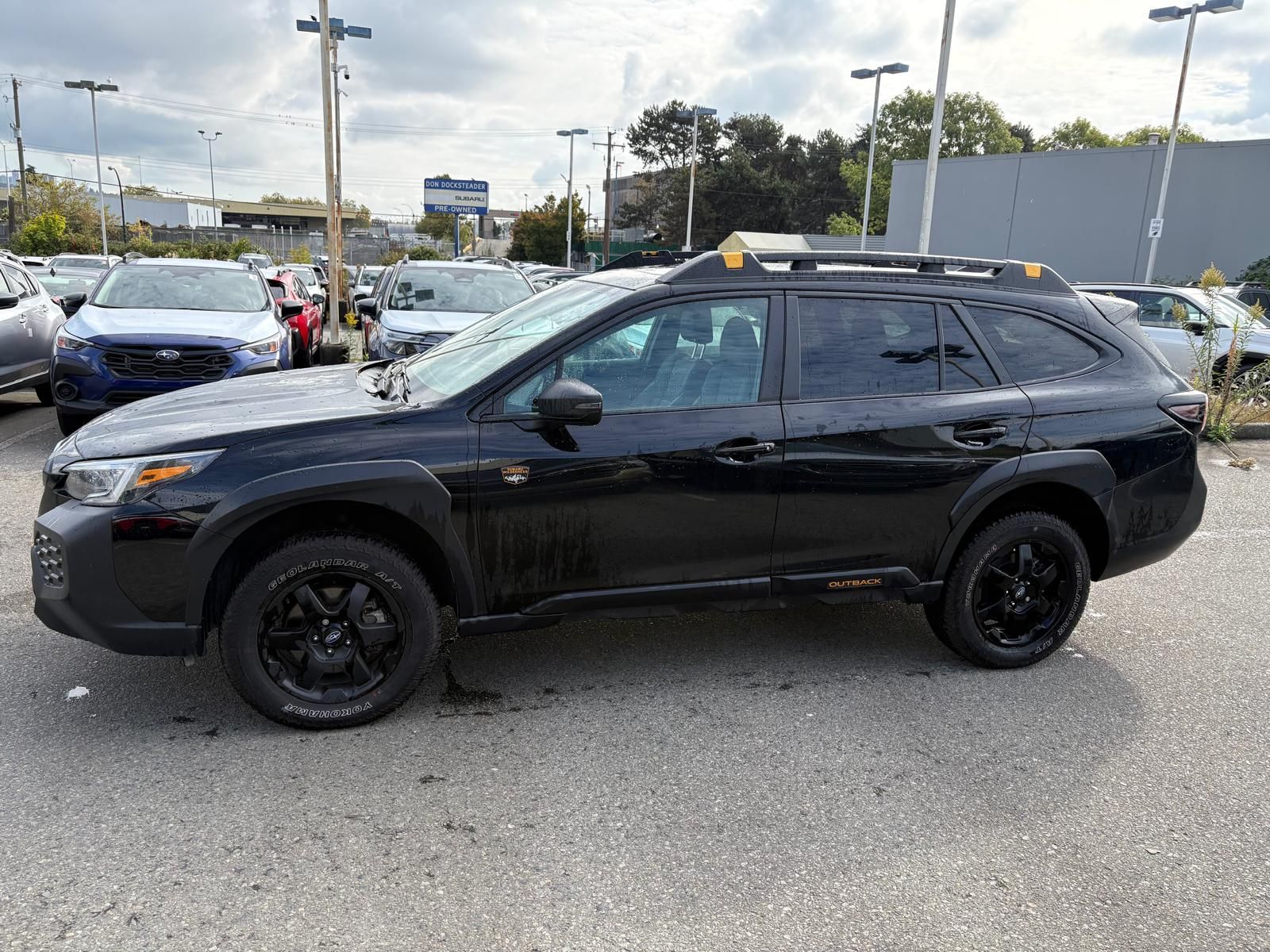 2025  Outback