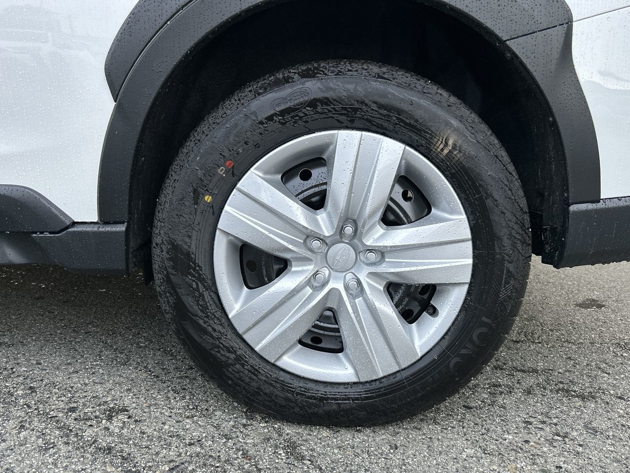 2025  Outback