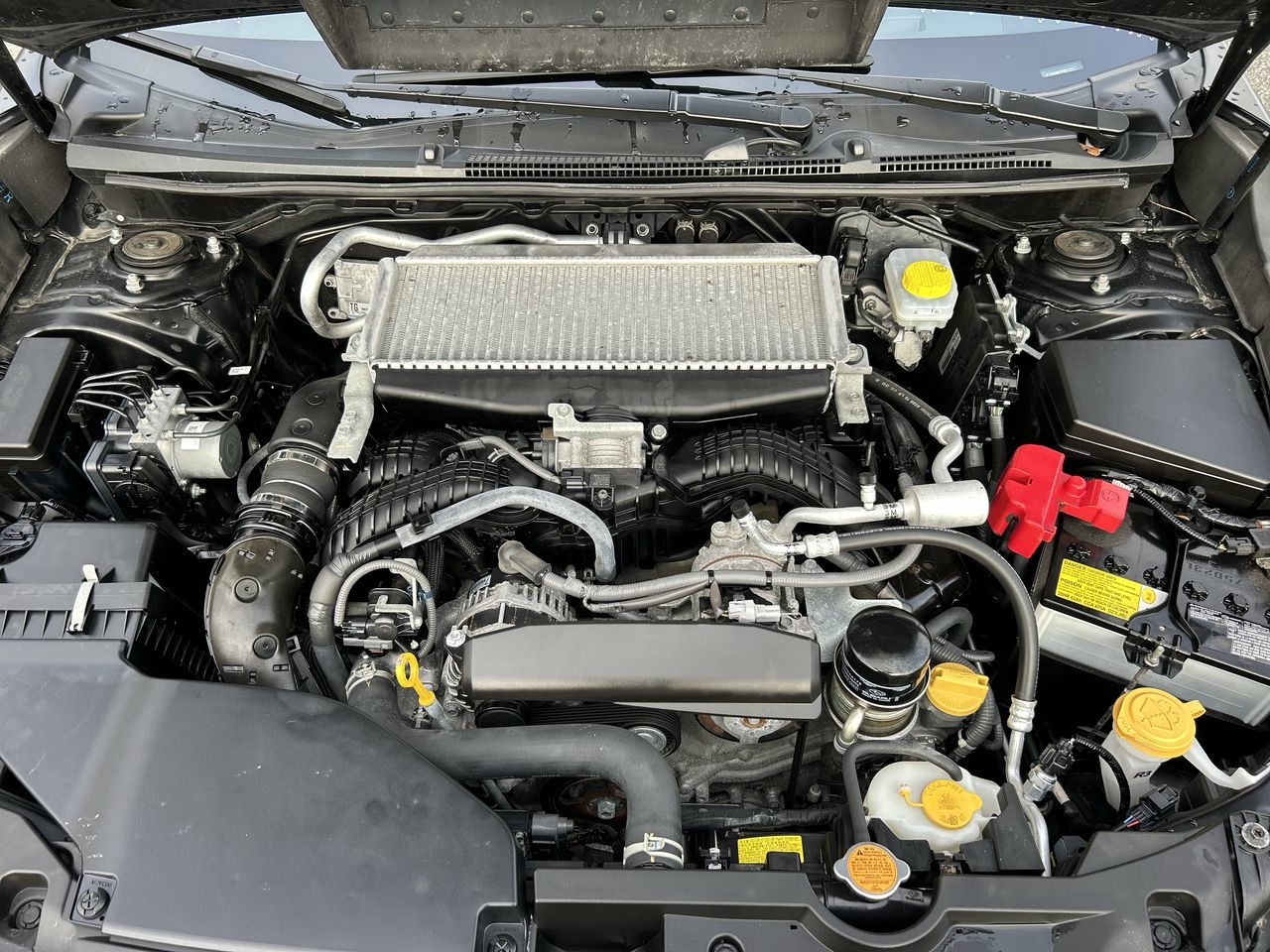 2023 Subaru WRX in Vancouver, British Columbia