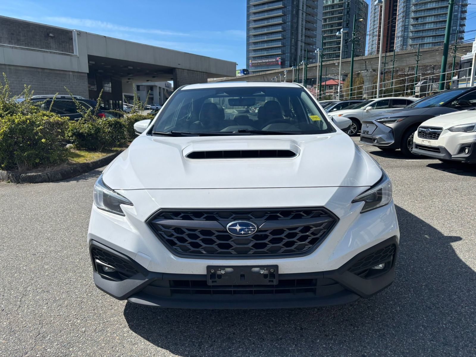 2023 Subaru WRX