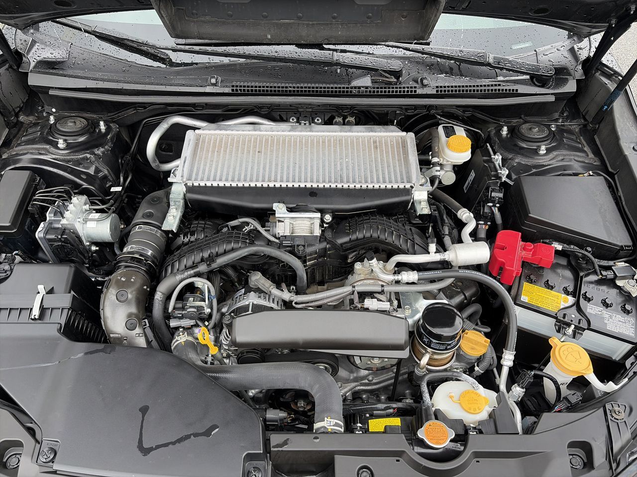 2024 Subaru WRX