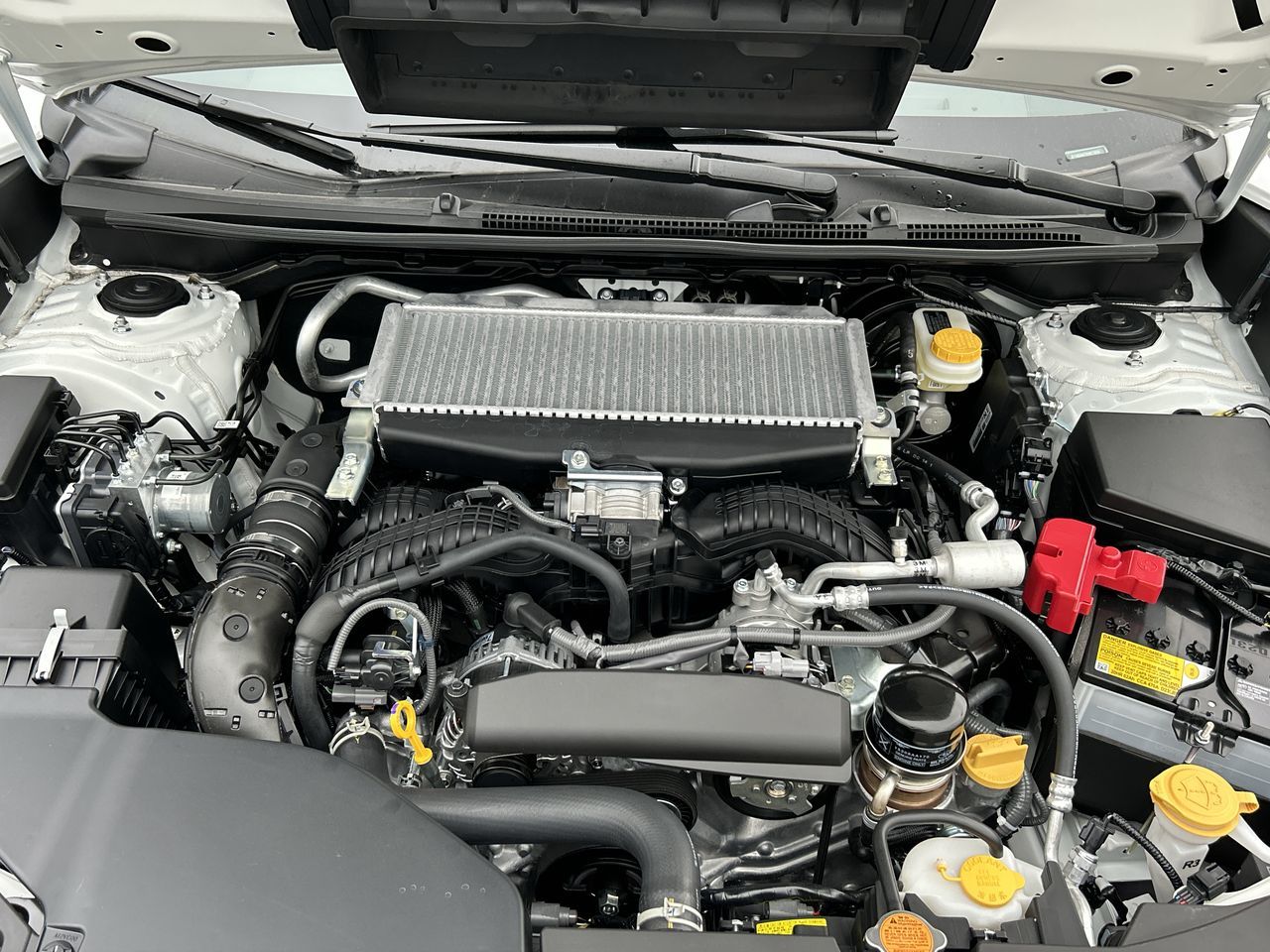 2024 Subaru WRX