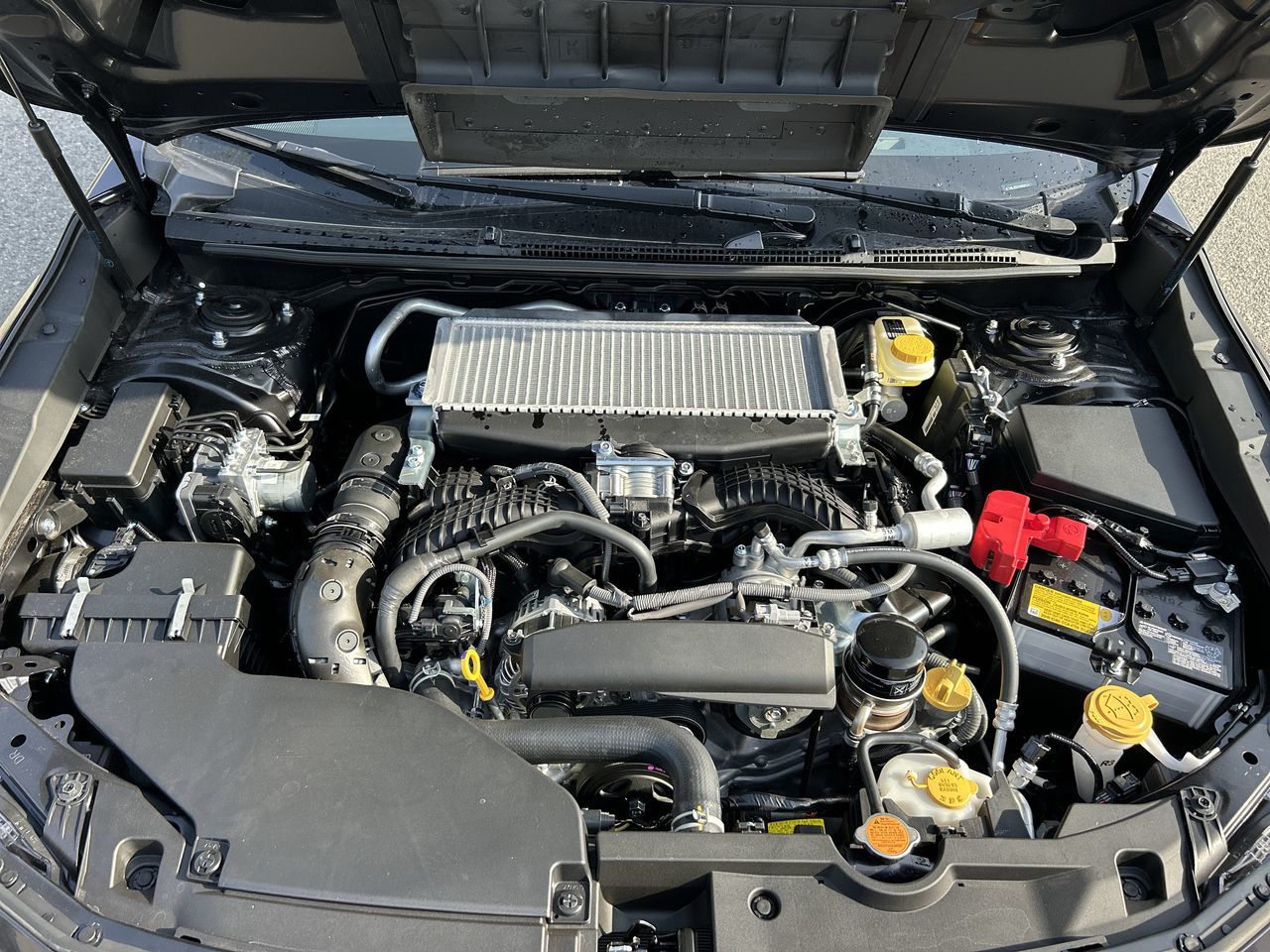 2025 Subaru WRX in Vancouver, British Columbia