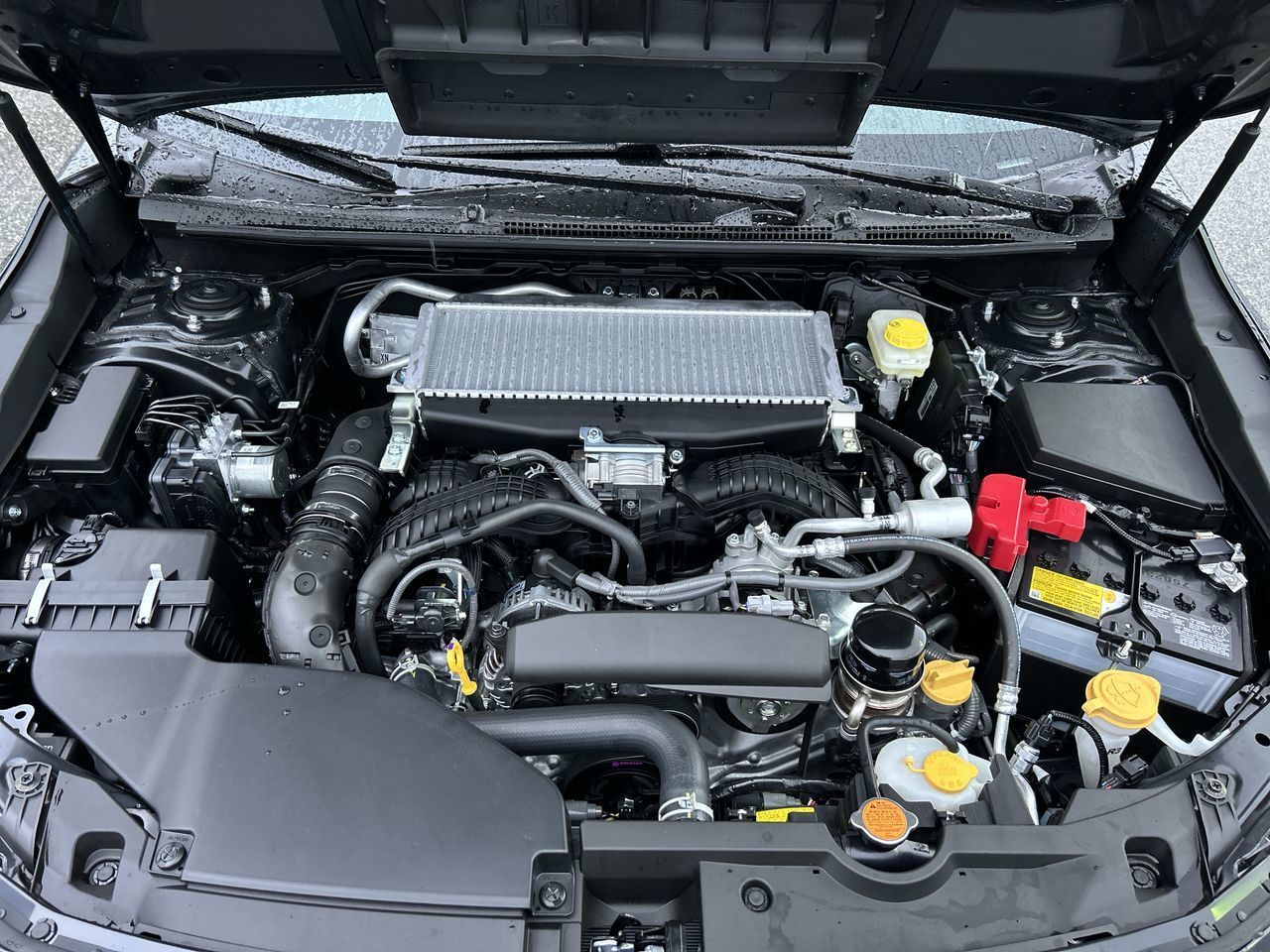 2025 Subaru WRX in Vancouver, British Columbia