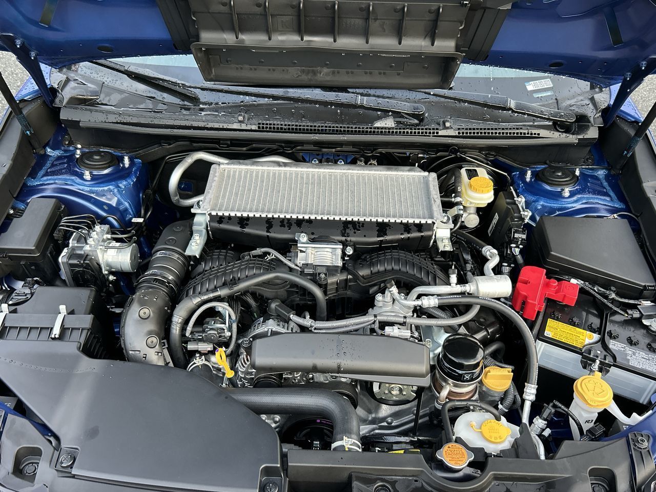 2025 Subaru WRX in Vancouver, British Columbia