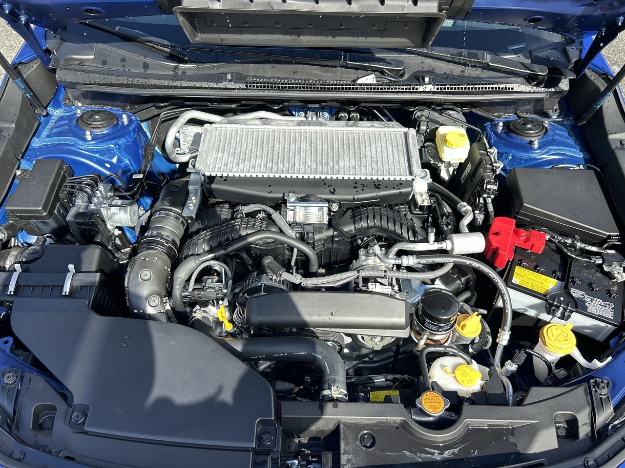 2026 Subaru WRX