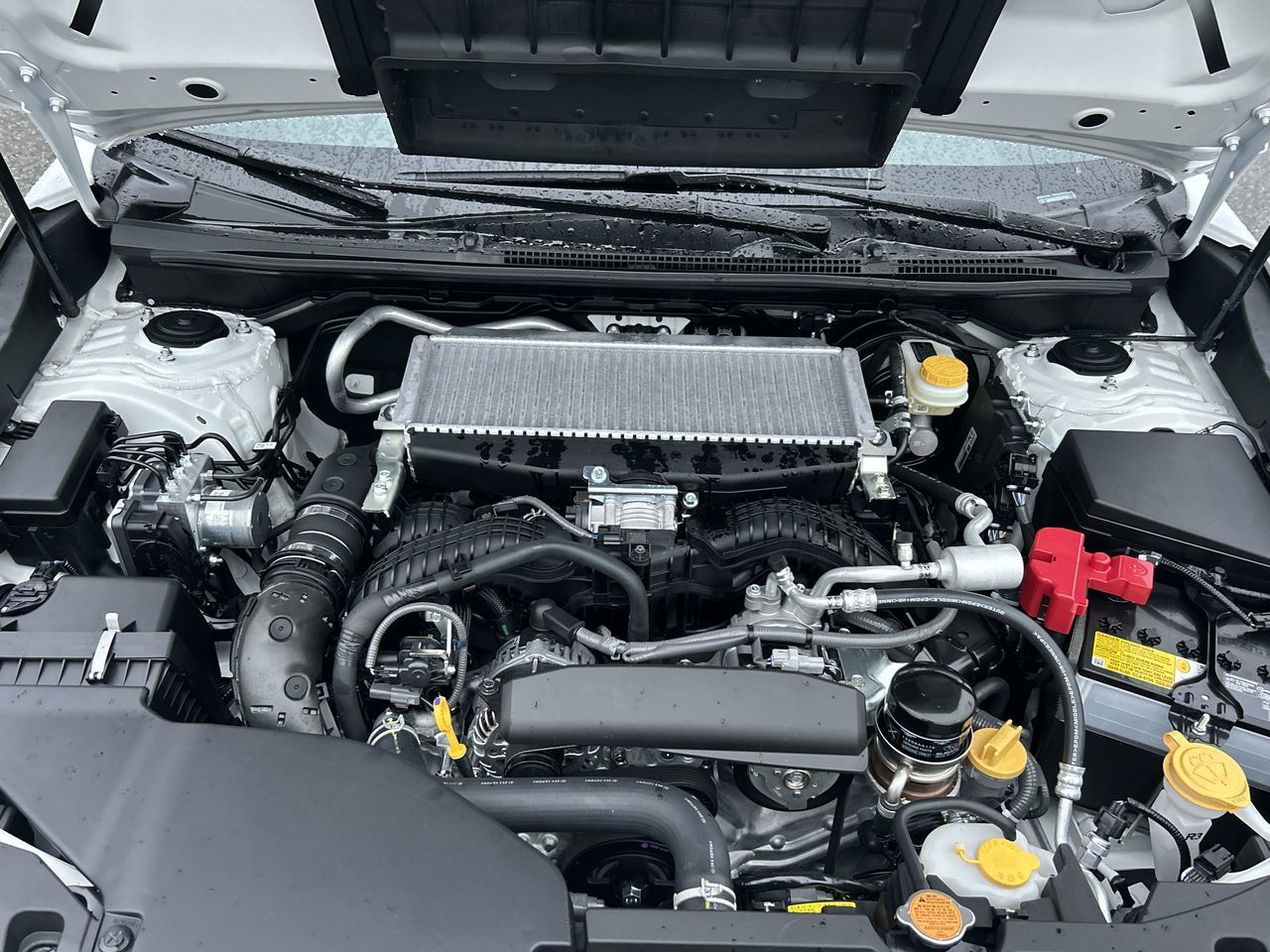 2026 Subaru WRX in Vancouver, British Columbia