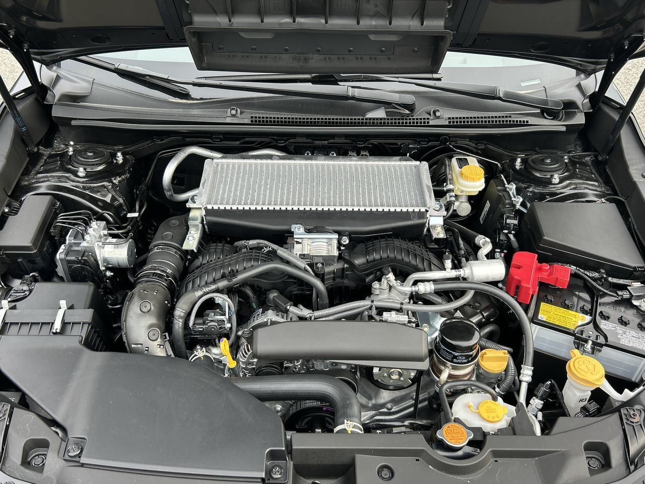 2026 Subaru WRX in Vancouver, British Columbia