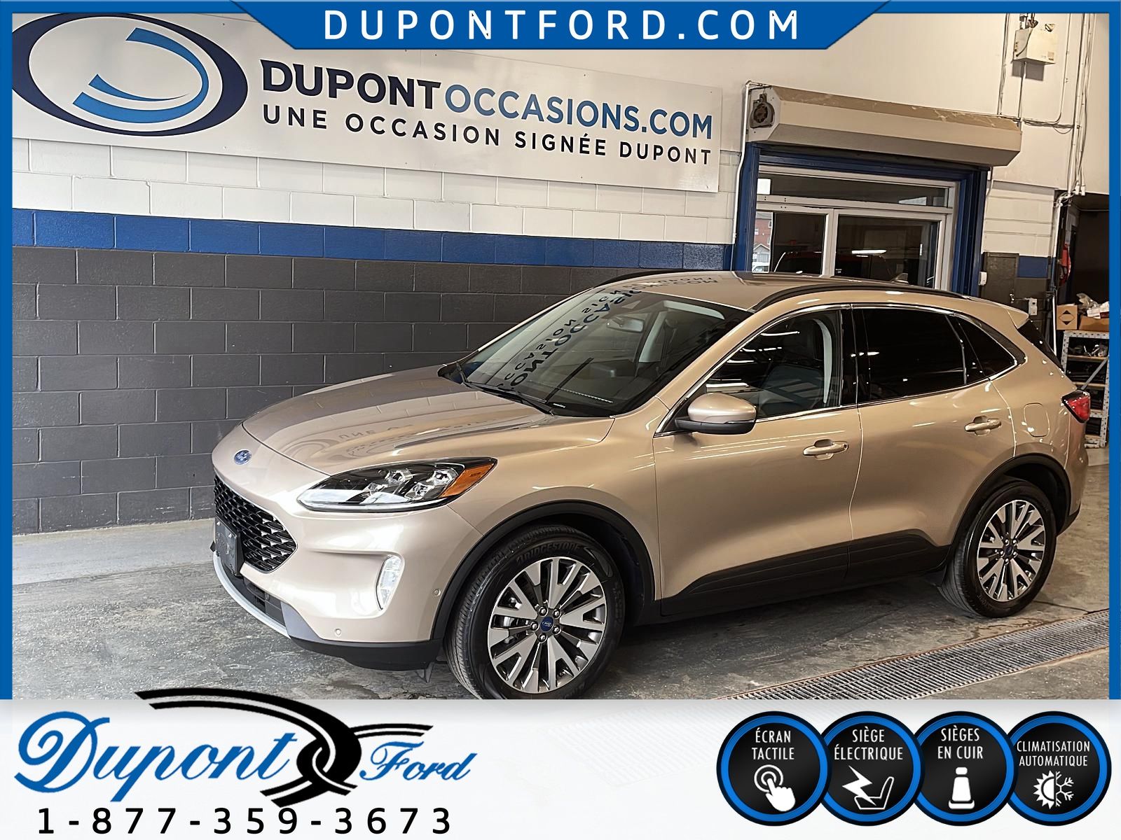 2019 Ford Escape  Dupont Ford Ltee