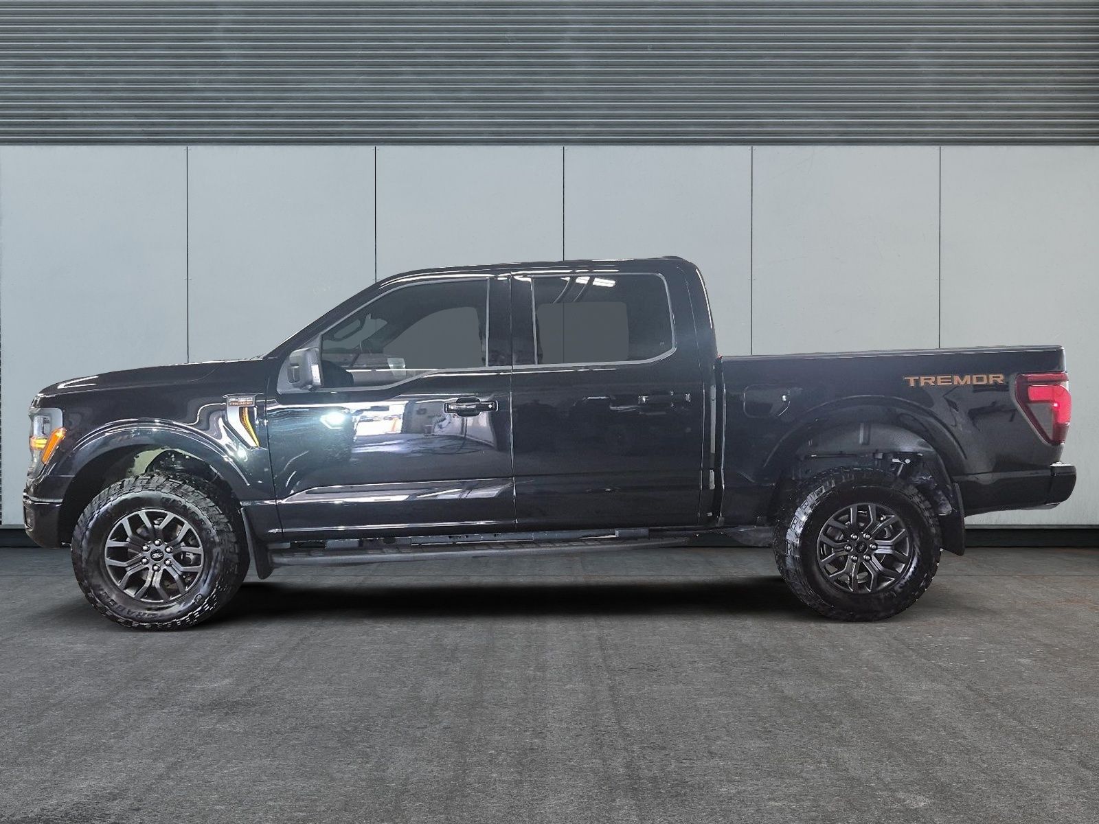 Photo 2025 Ford F-150 Tremor #5