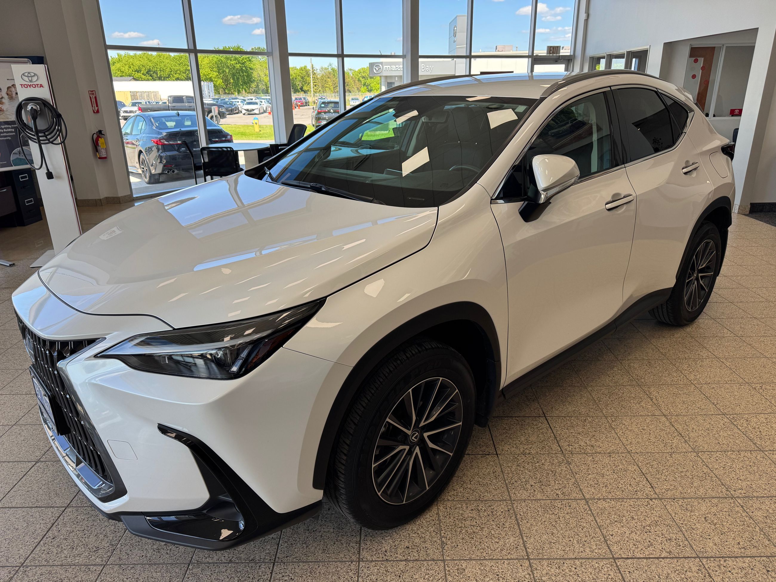 2025 Lexus NX 250