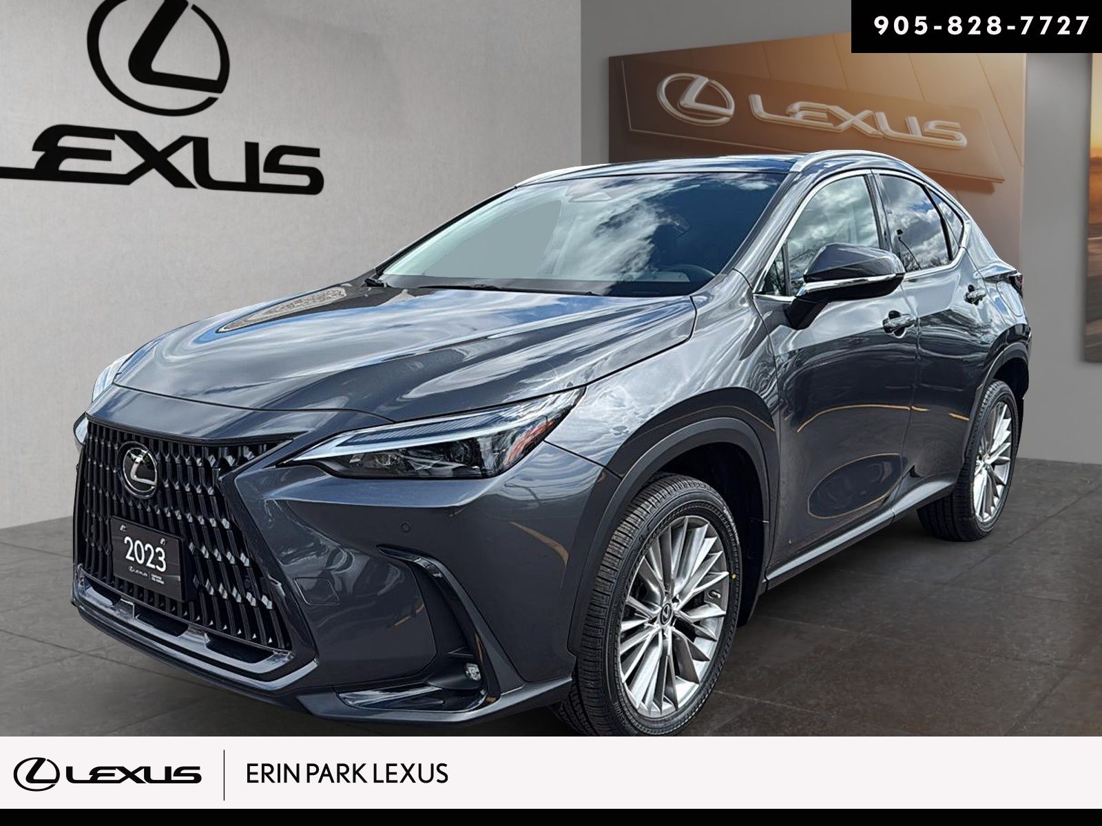 2023 Lexus NX 350
