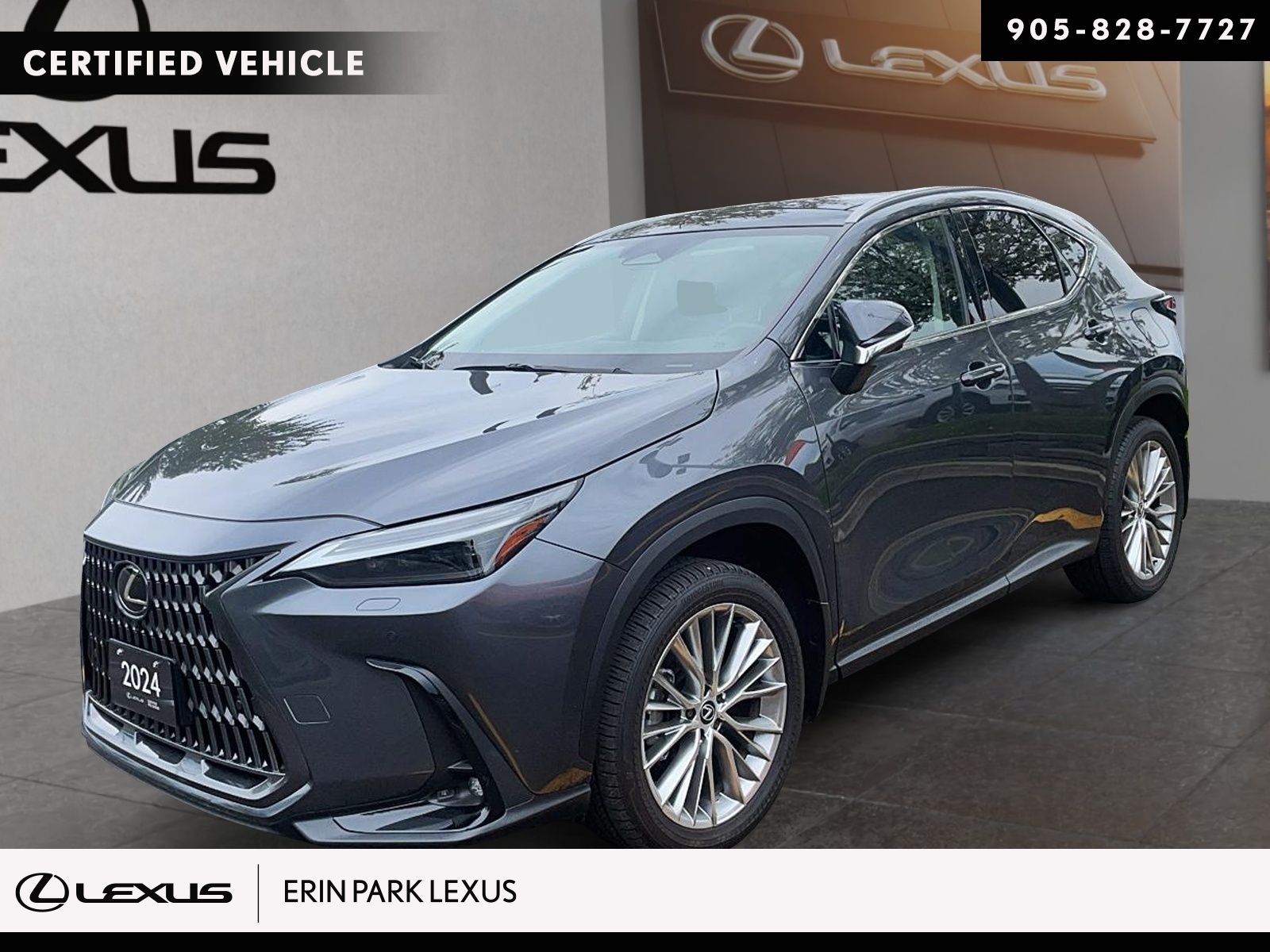 2024 Lexus NX NX 350