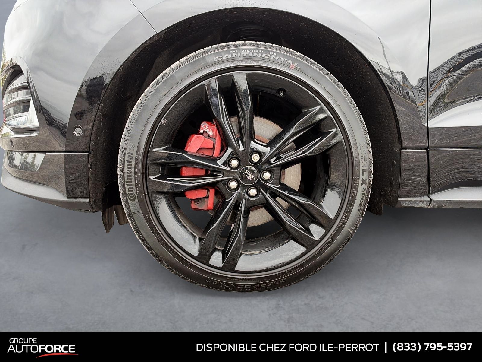Photo Ford Edge ST 2022 #7