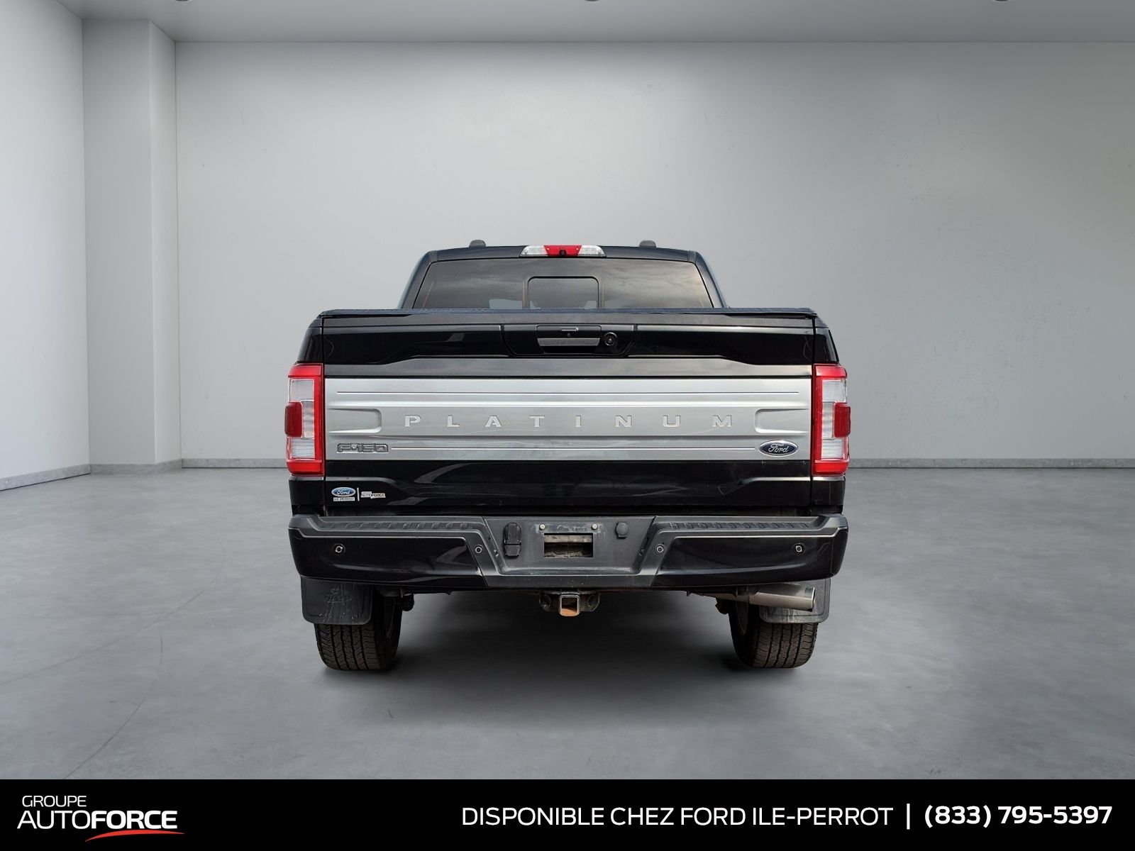 Photo 2022 Ford F-150 Platinum #3