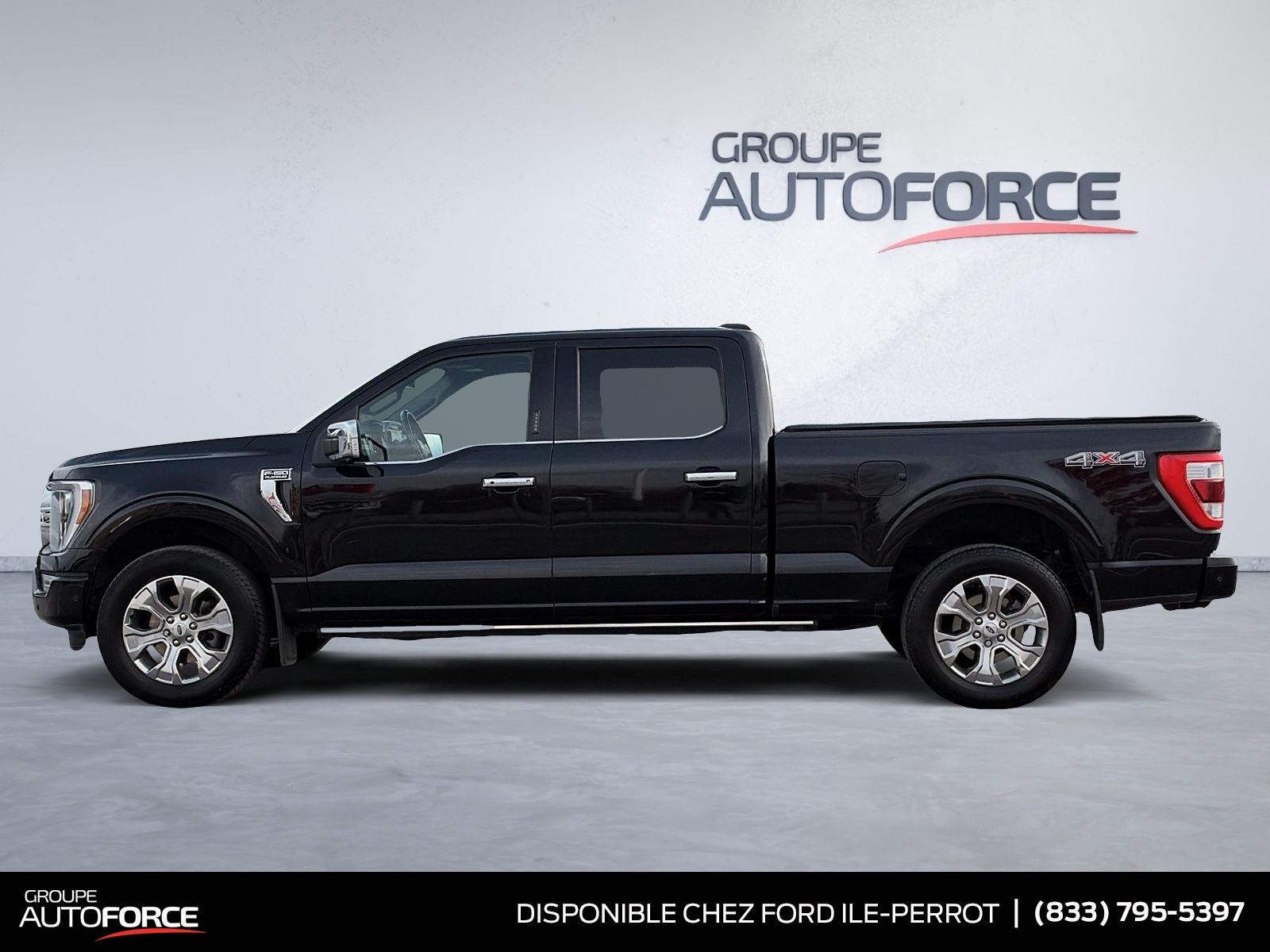 Photo 2022 Ford F-150 Platinum #5