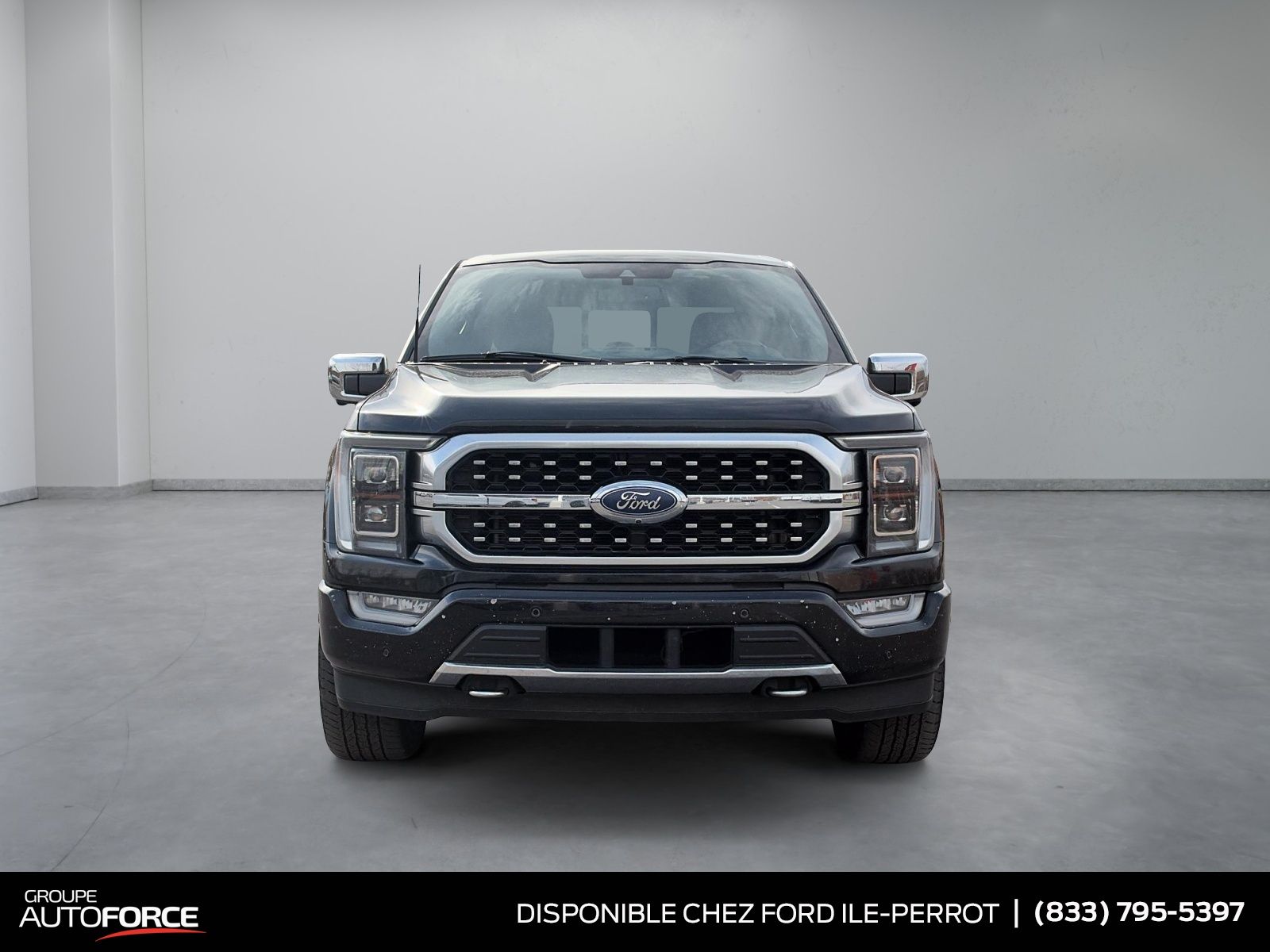 Photo 2022 Ford F-150 Platinum #2
