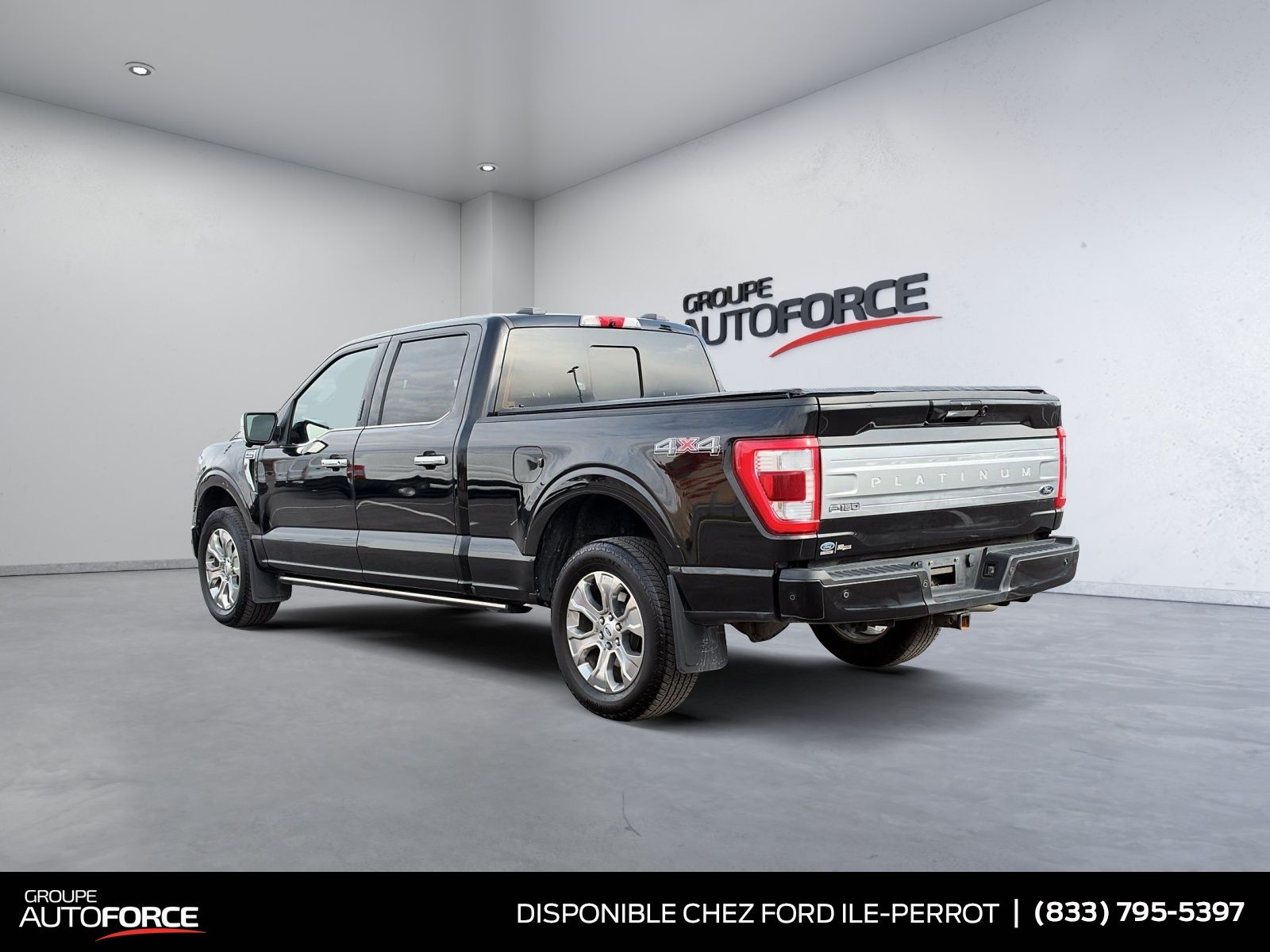 Photo 2022 Ford F-150 Platinum #4