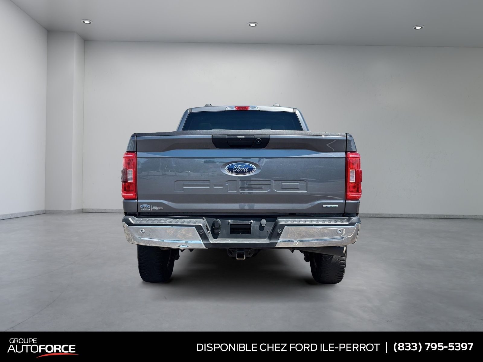 Photo 2023 Ford F-150 XLT #3