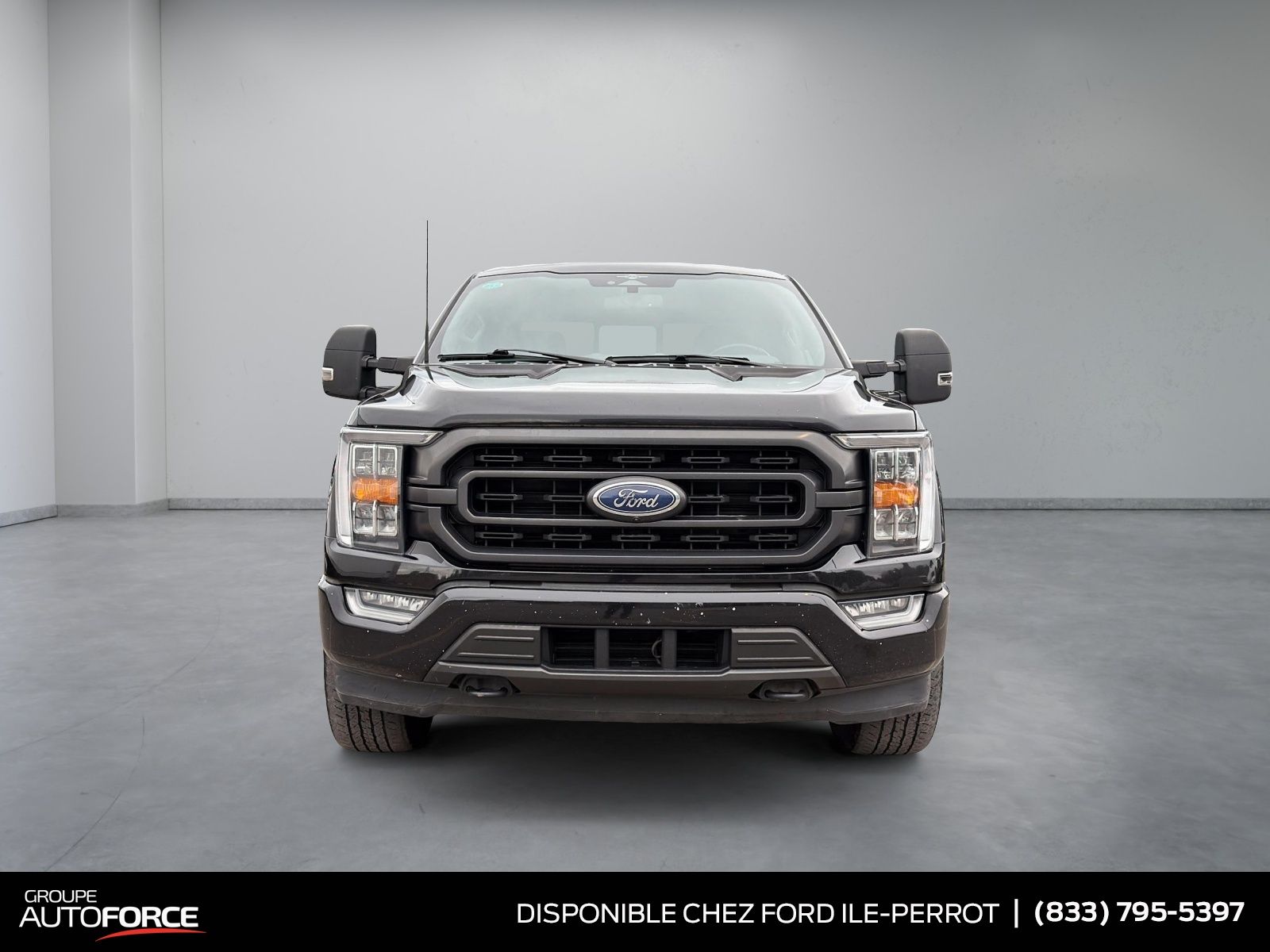 Photo Ford F-150  2023 #2