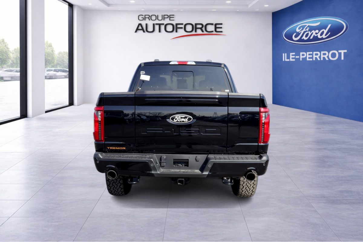 Photo 2026 Ford F-150 Tremor #6
