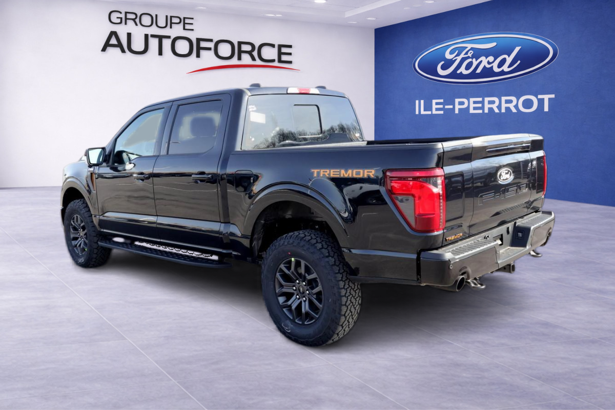 Photo 2026 Ford F-150 Tremor #5