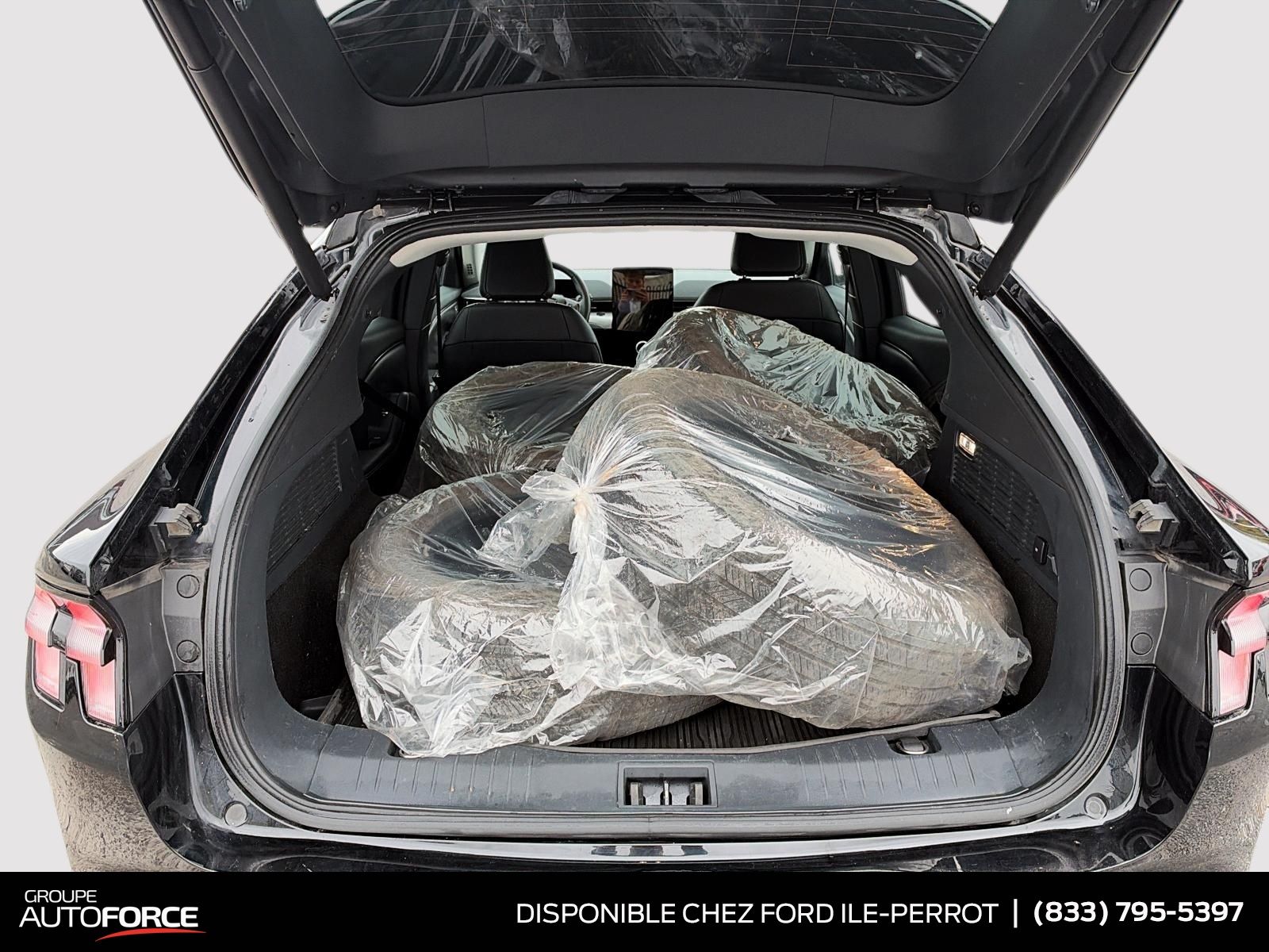 Photo 2021 Ford Mustang Mach-E Select #6