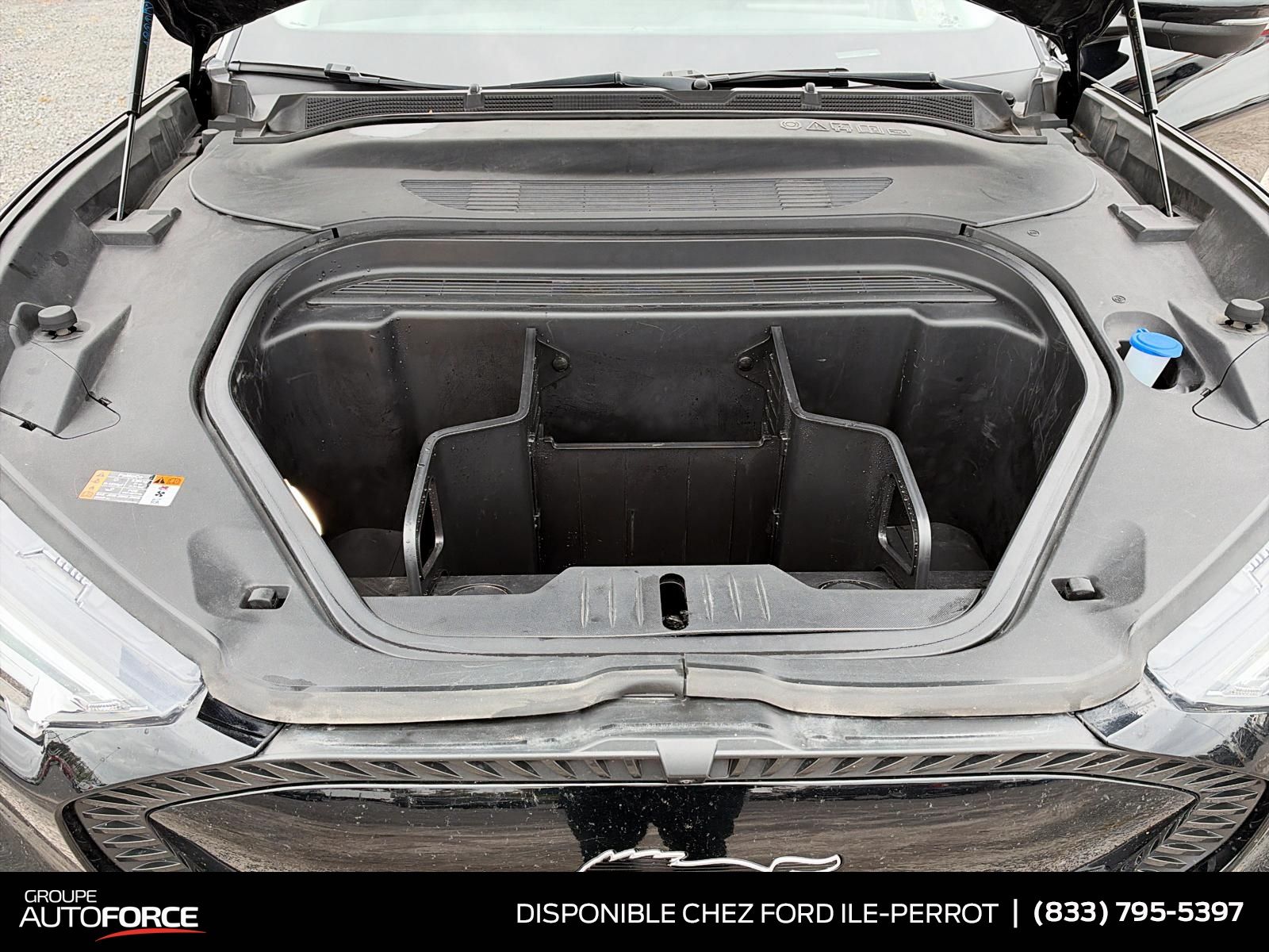 Photo 2021 Ford Mustang Mach-E Select #8