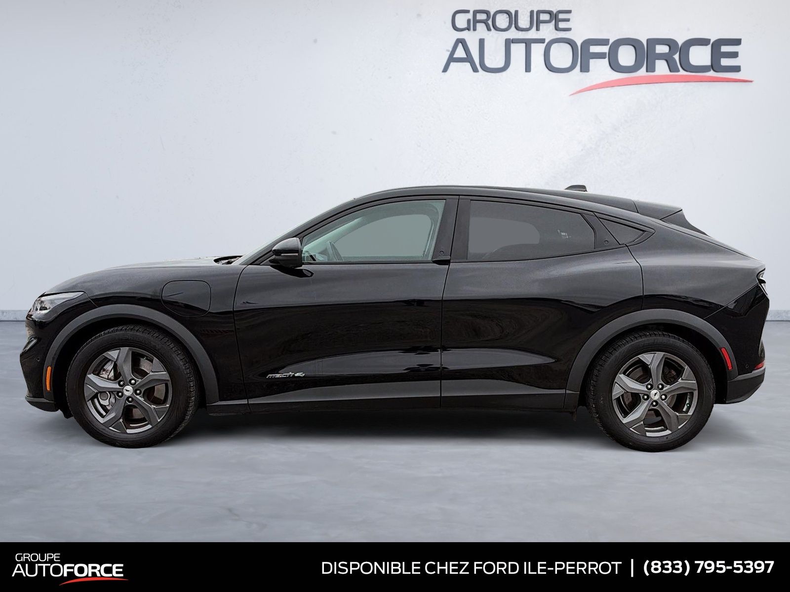 Photo 2021 Ford Mustang Mach-E Select #5