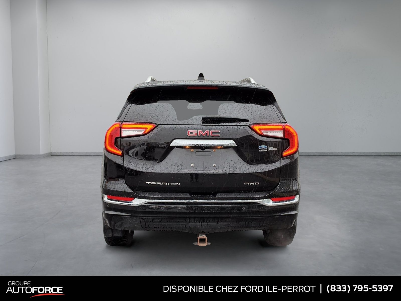 Photo 2022 GMC Terrain Denali #3