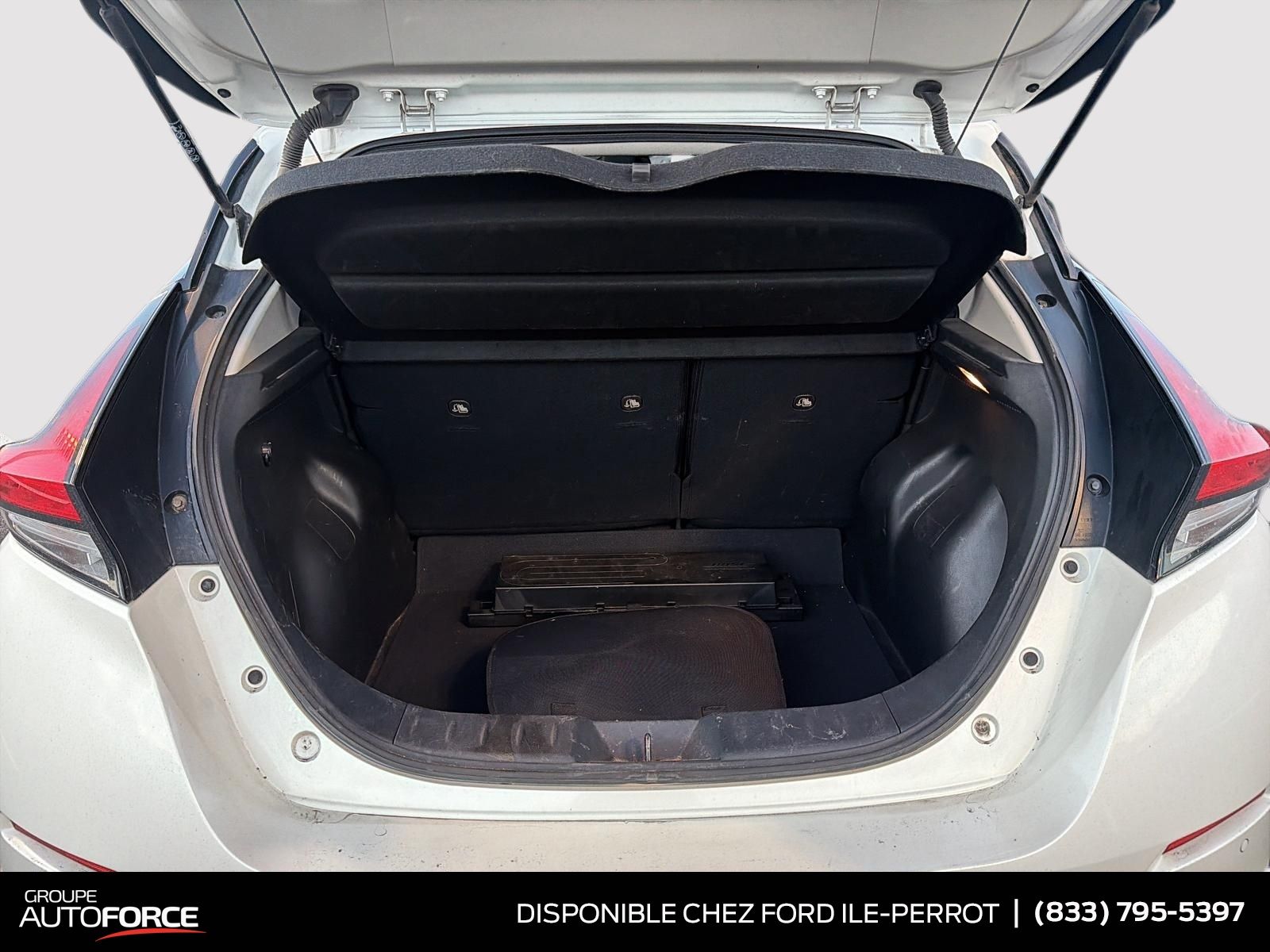 Photo 2020 Nissan LEAF SL Plus #6