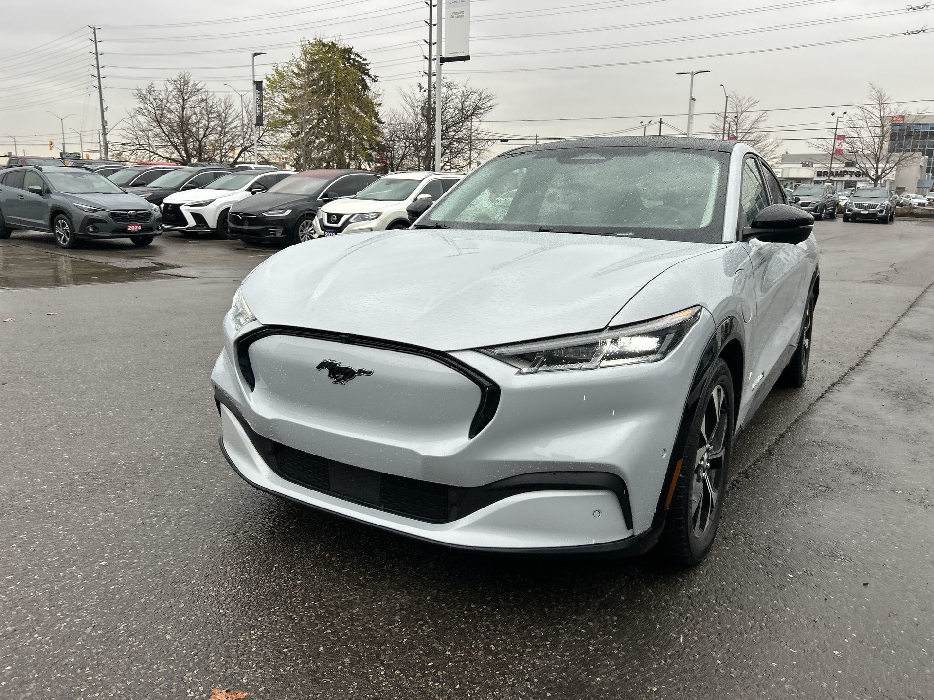 2021 Ford Mustang Mach-E in Brampton, Ontario