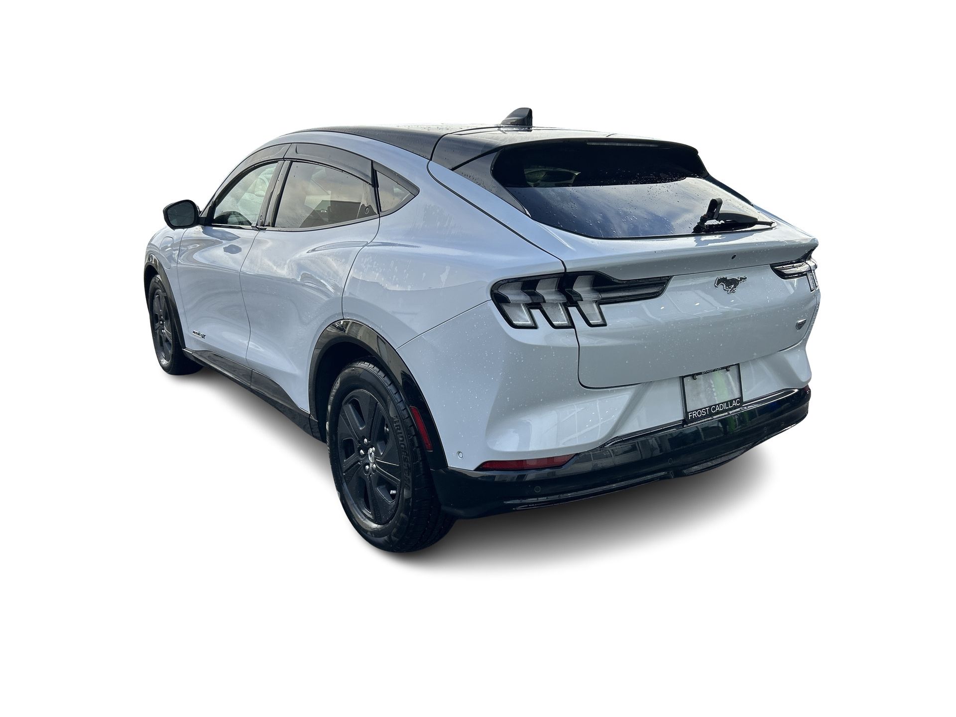 2022 Ford Mustang Mach-E