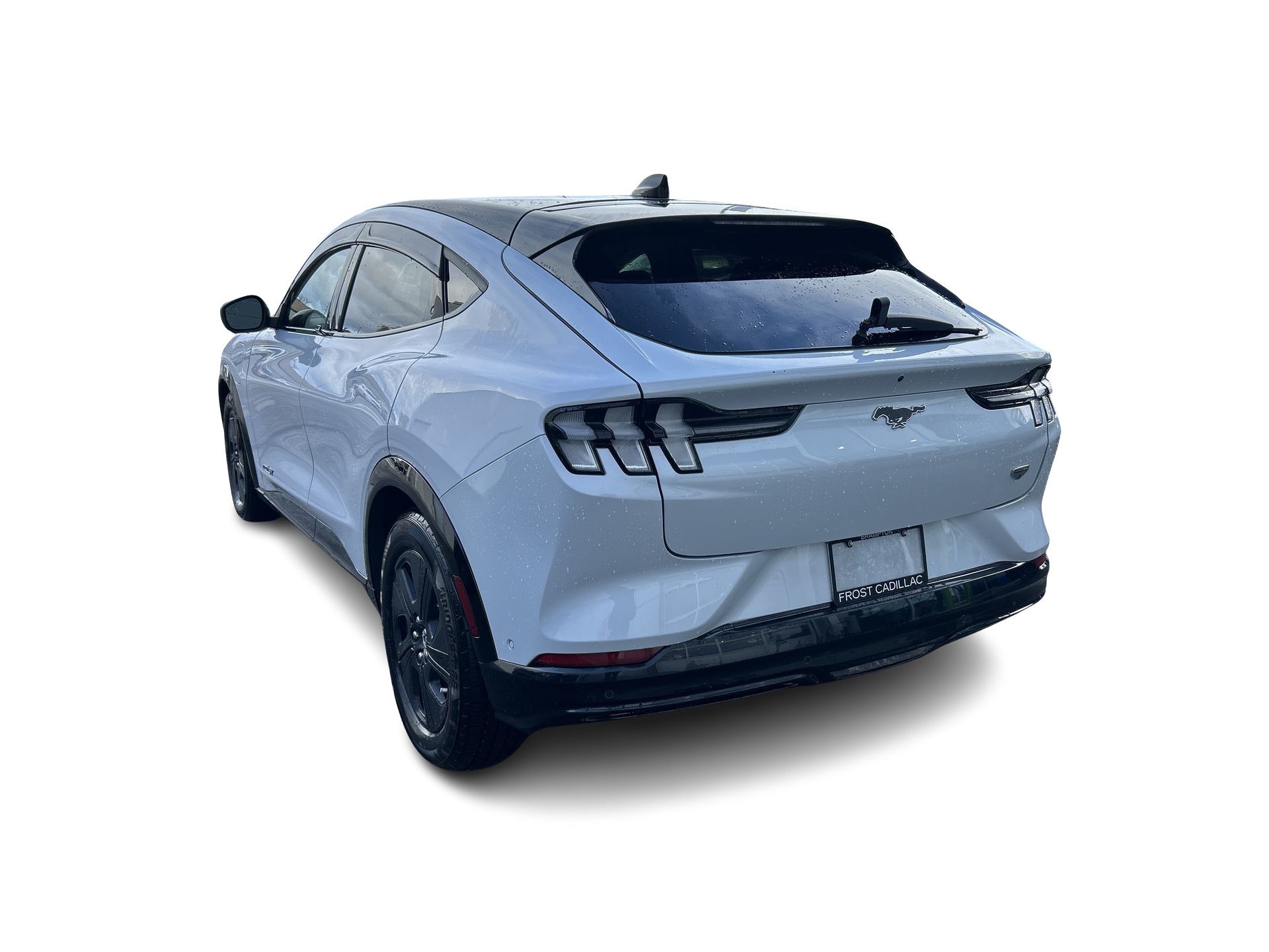 2022 Ford Mustang Mach-E