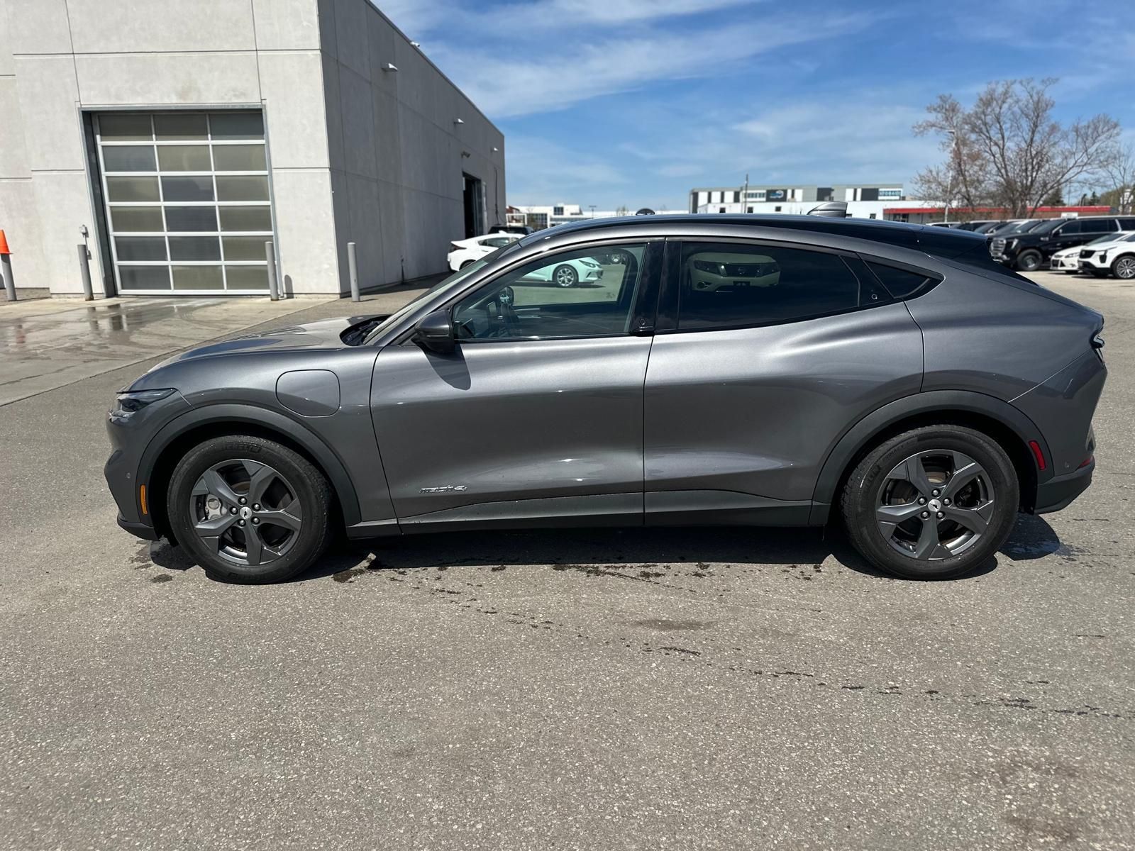 2021 Ford Mustang Mach-E in Brampton, Ontario