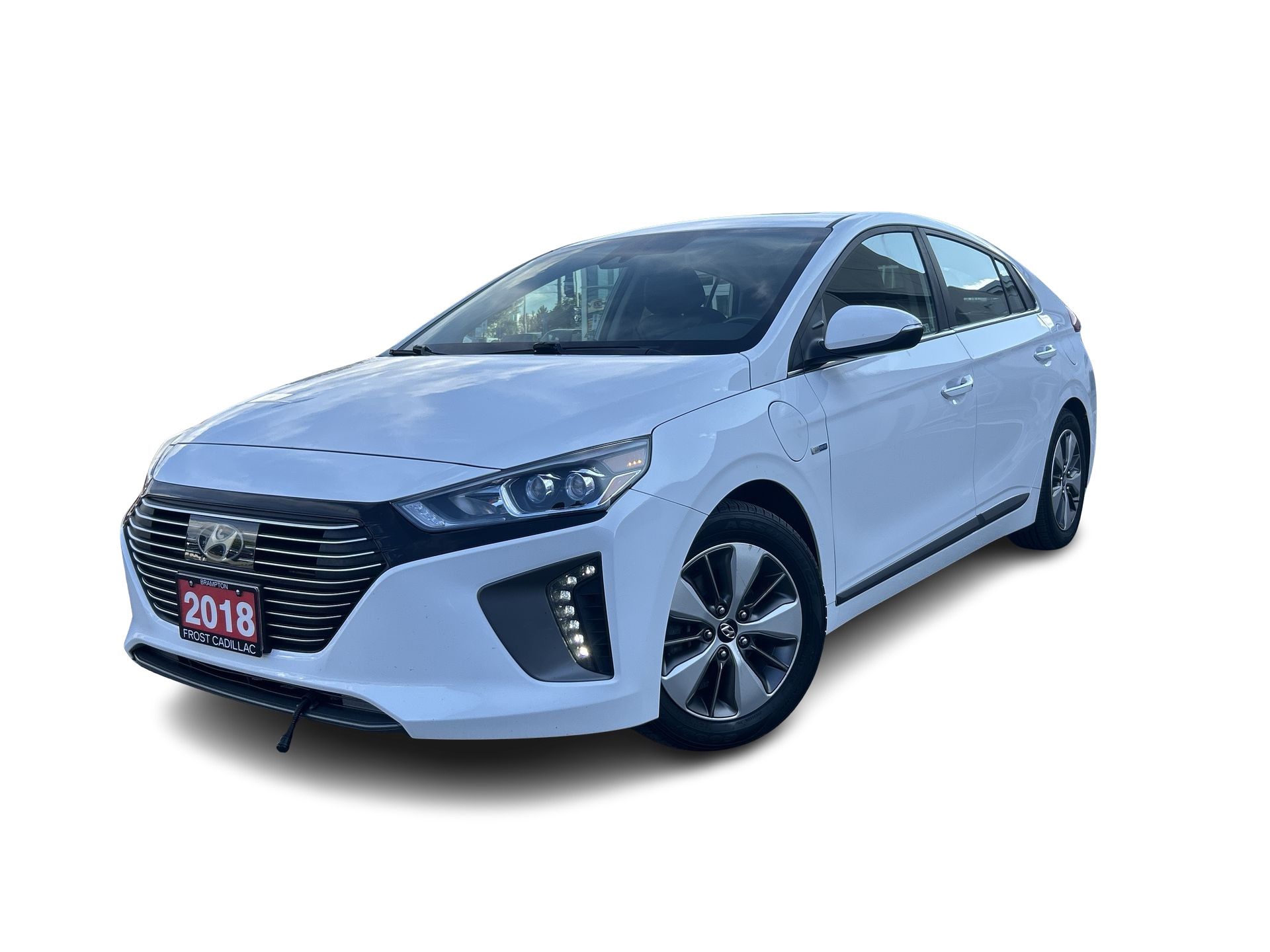 2018 Hyundai Ioniq Electric Plus in Brampton, Ontario