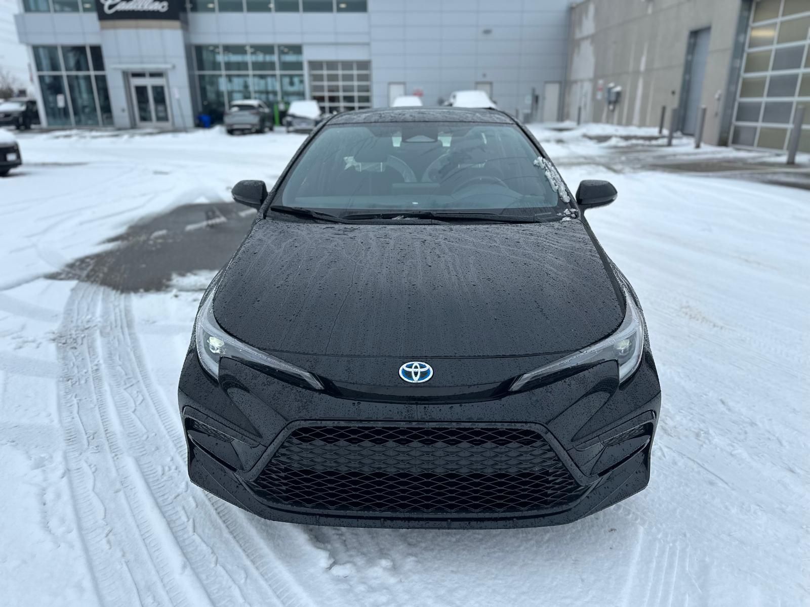 2024 Toyota Corolla Hybrid