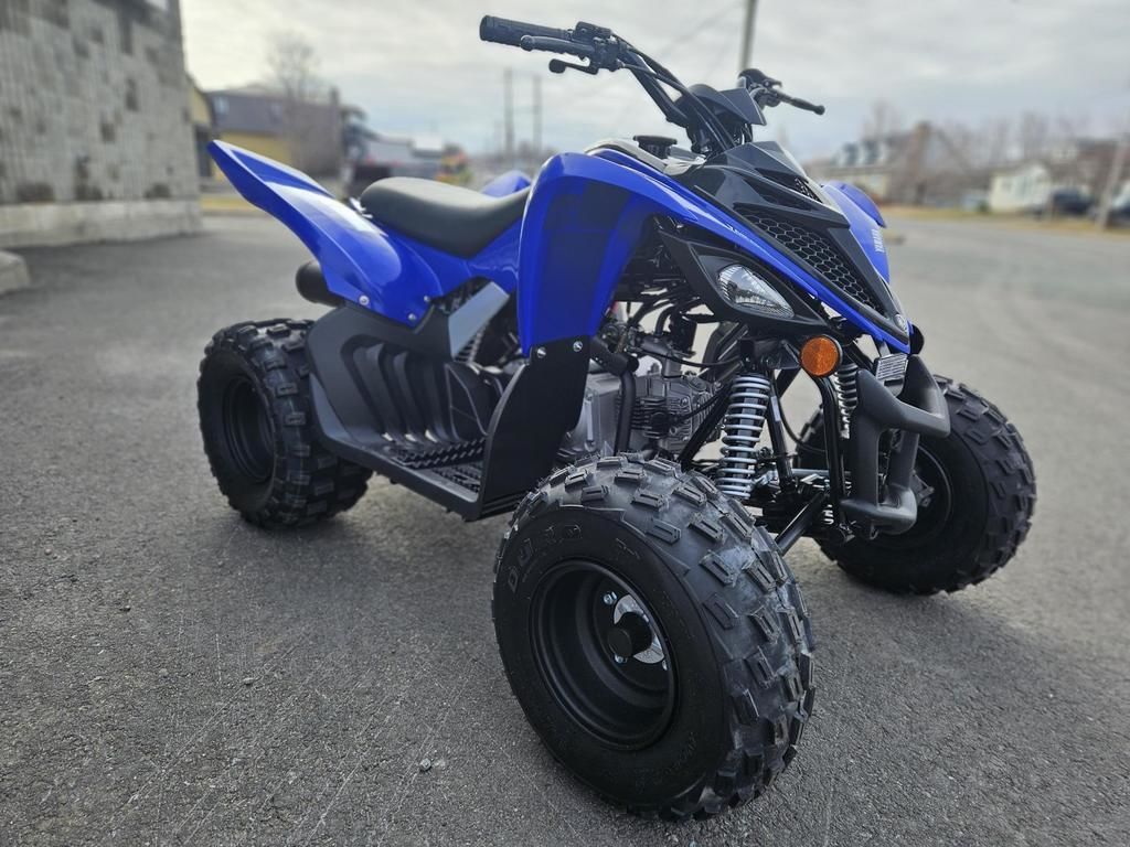 2025 Yamaha RAPTOR 110