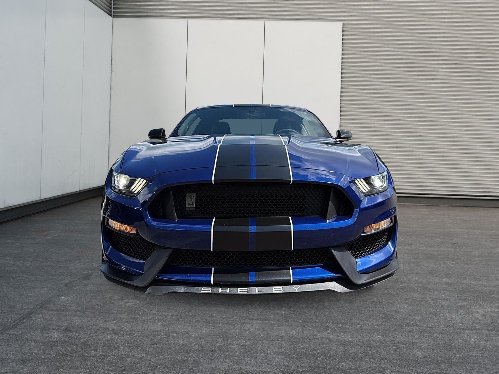 Photo Ford Mustang GT350 SHELBY 2016 #2