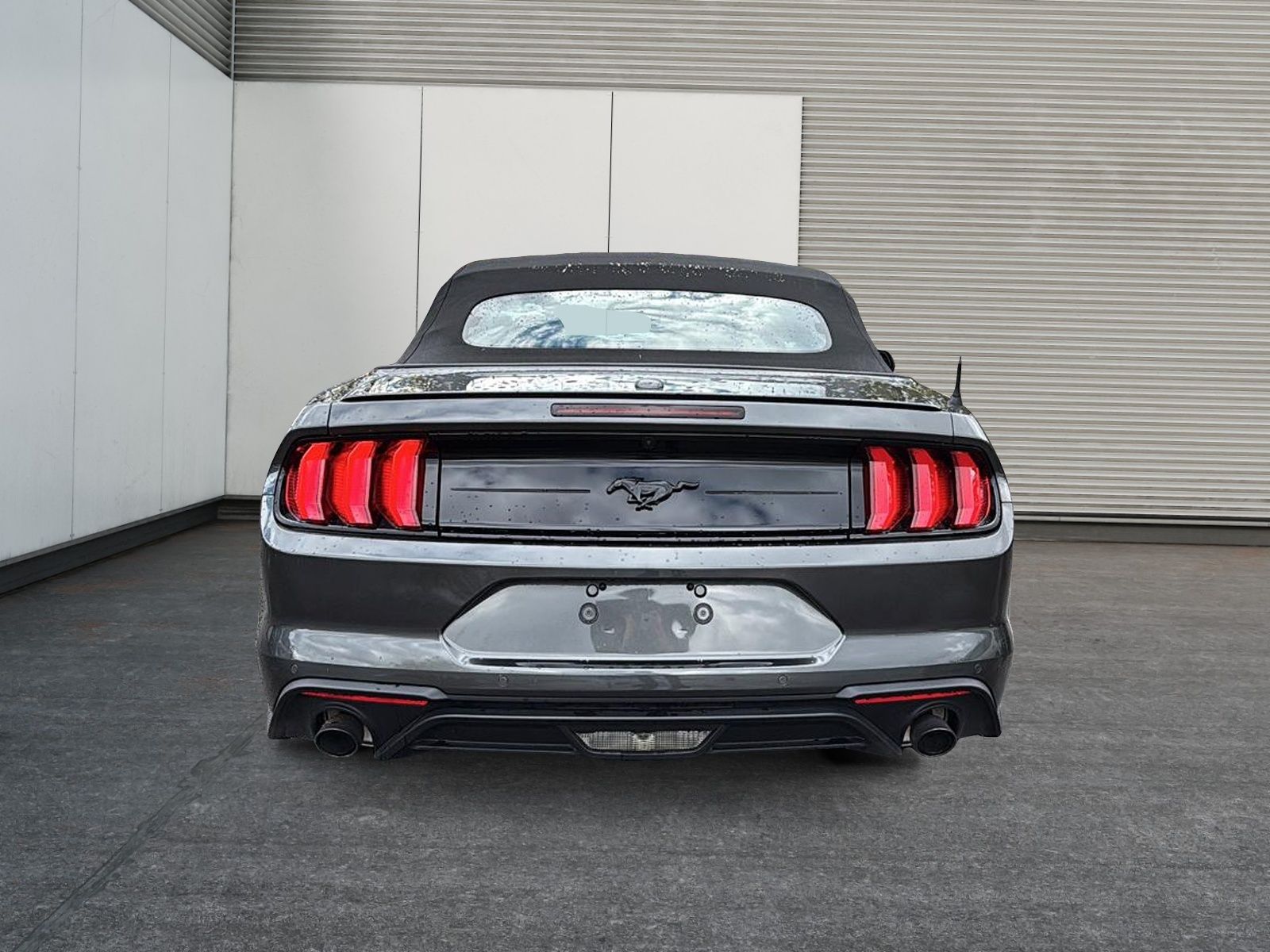 Photo Ford Mustang 2020 #8