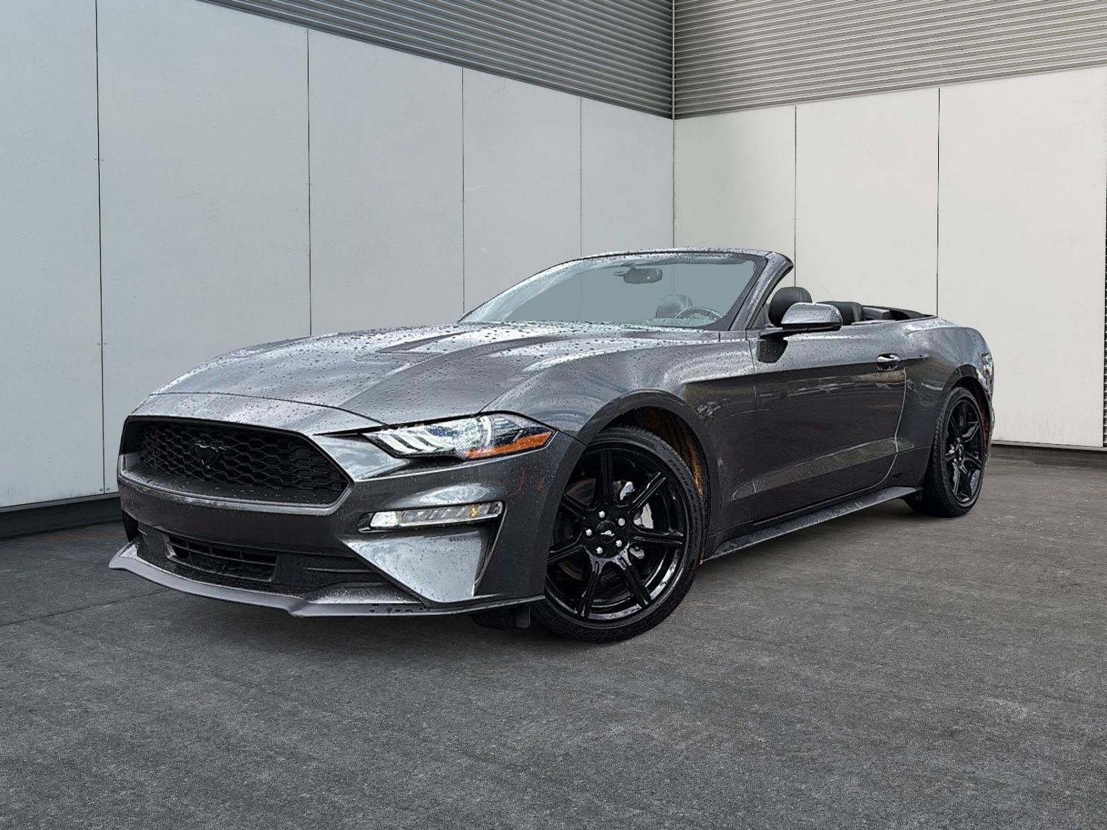 Photo Ford Mustang 2020 #1
