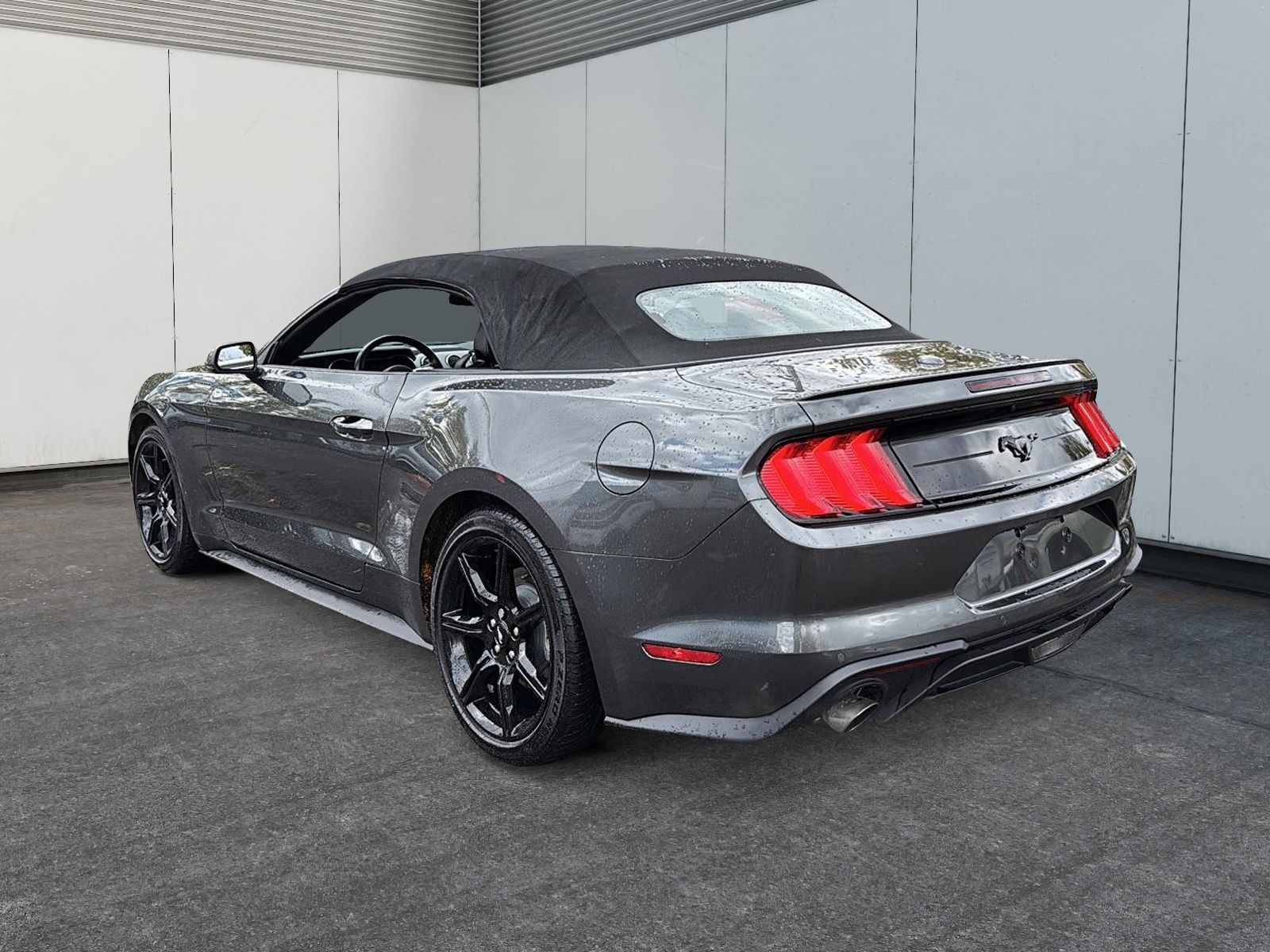 Photo Ford Mustang 2020 #7