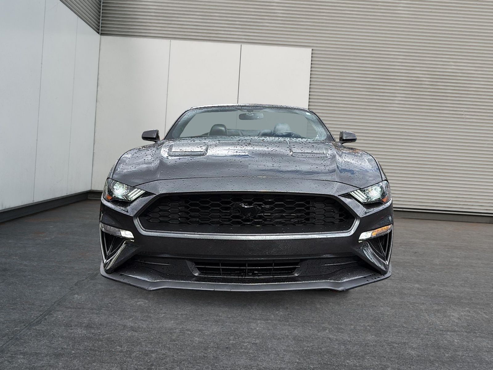 Photo Ford Mustang 2020 #2