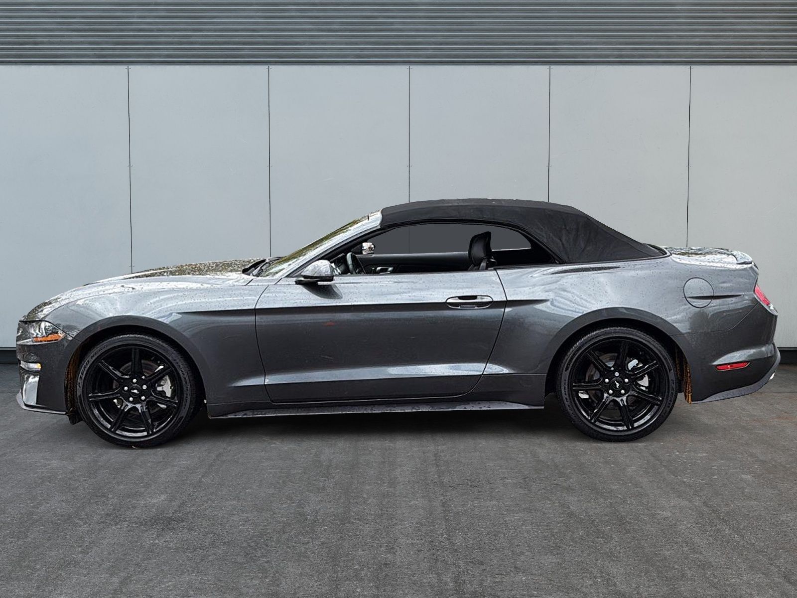 Photo Ford Mustang 2020 #6