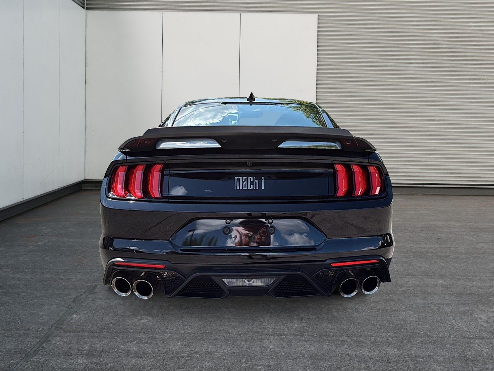 Photo Ford Mustang Mach 1 2021 #3