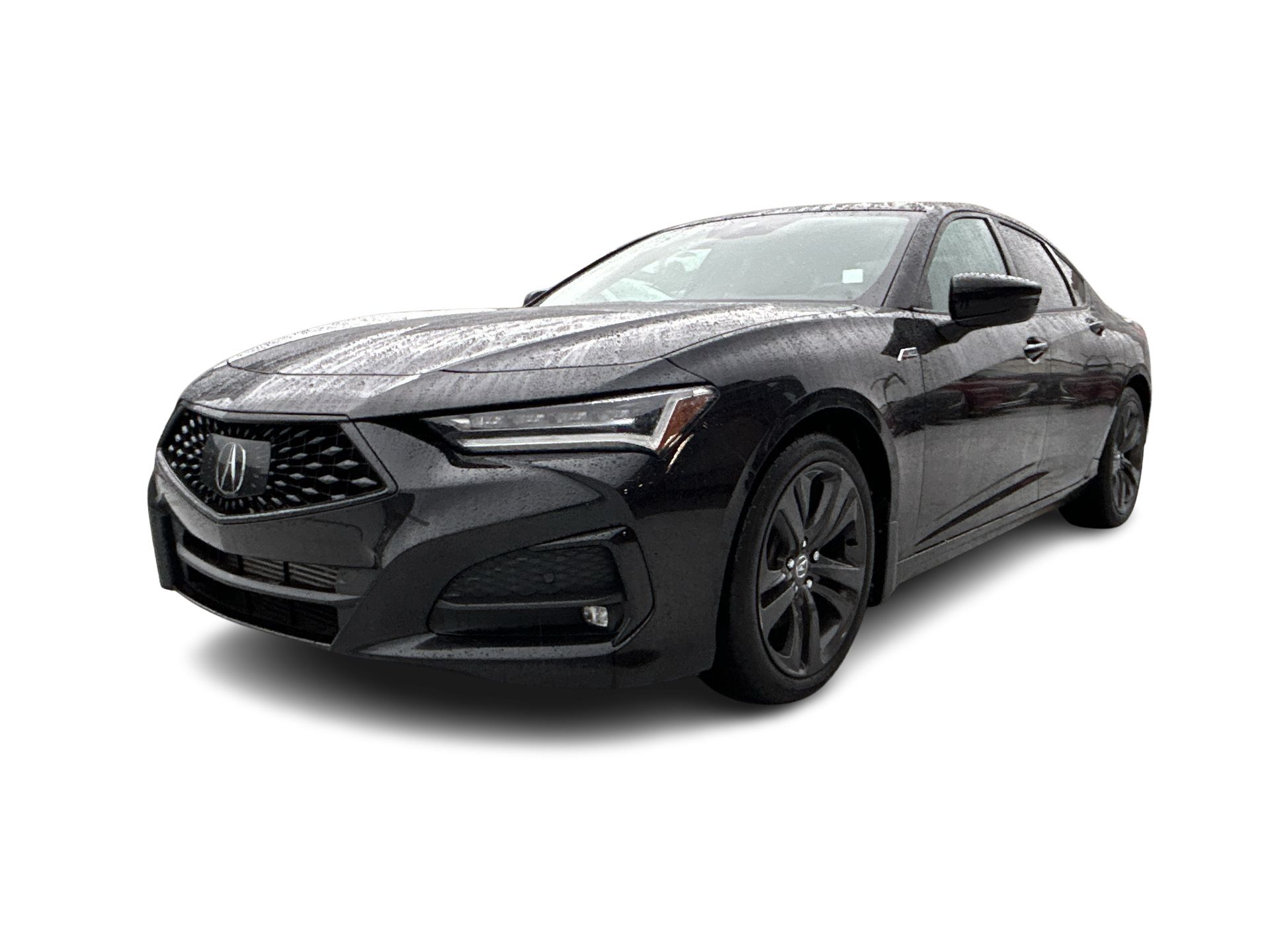 2023  TLX