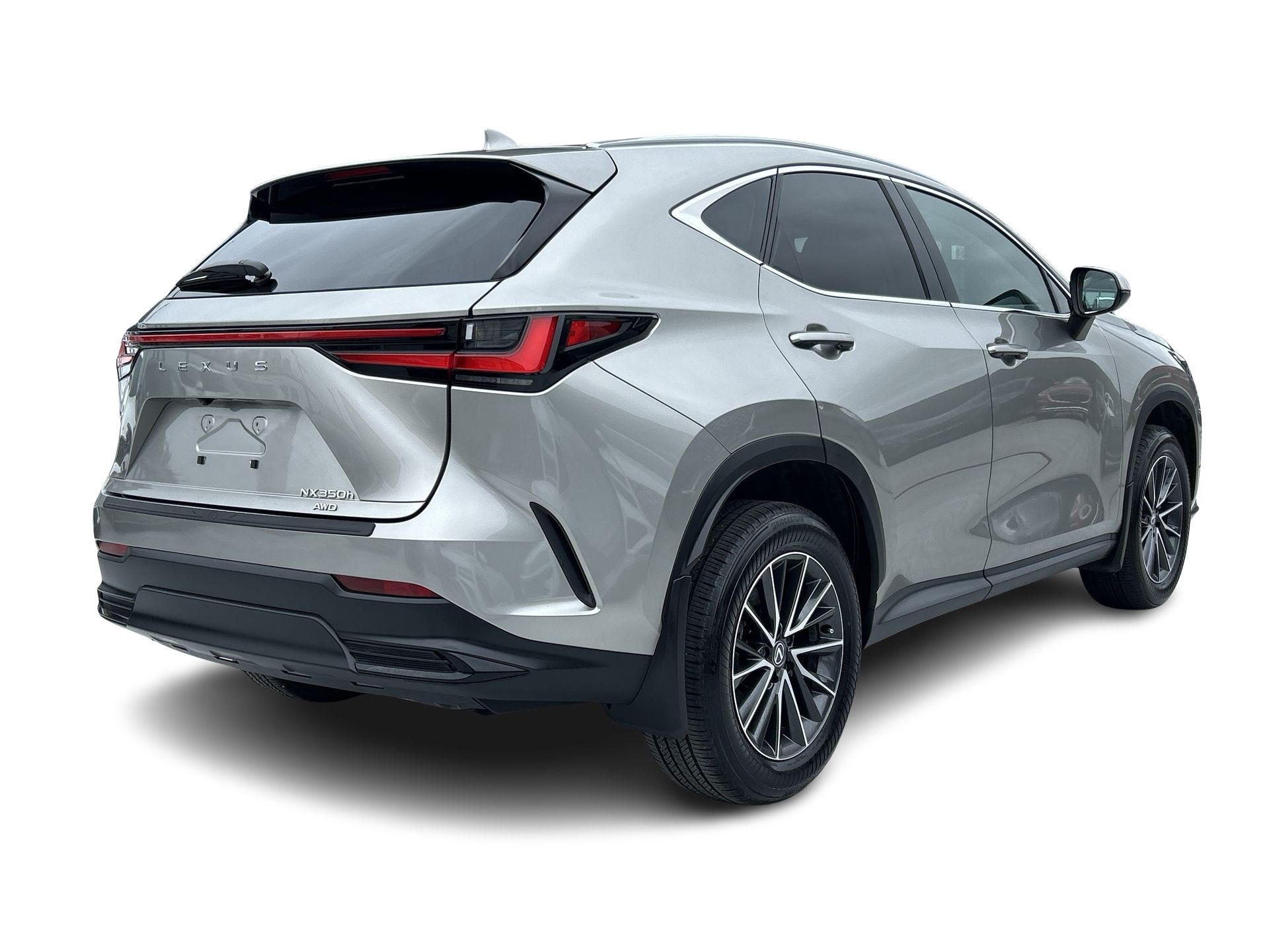 2025  NX