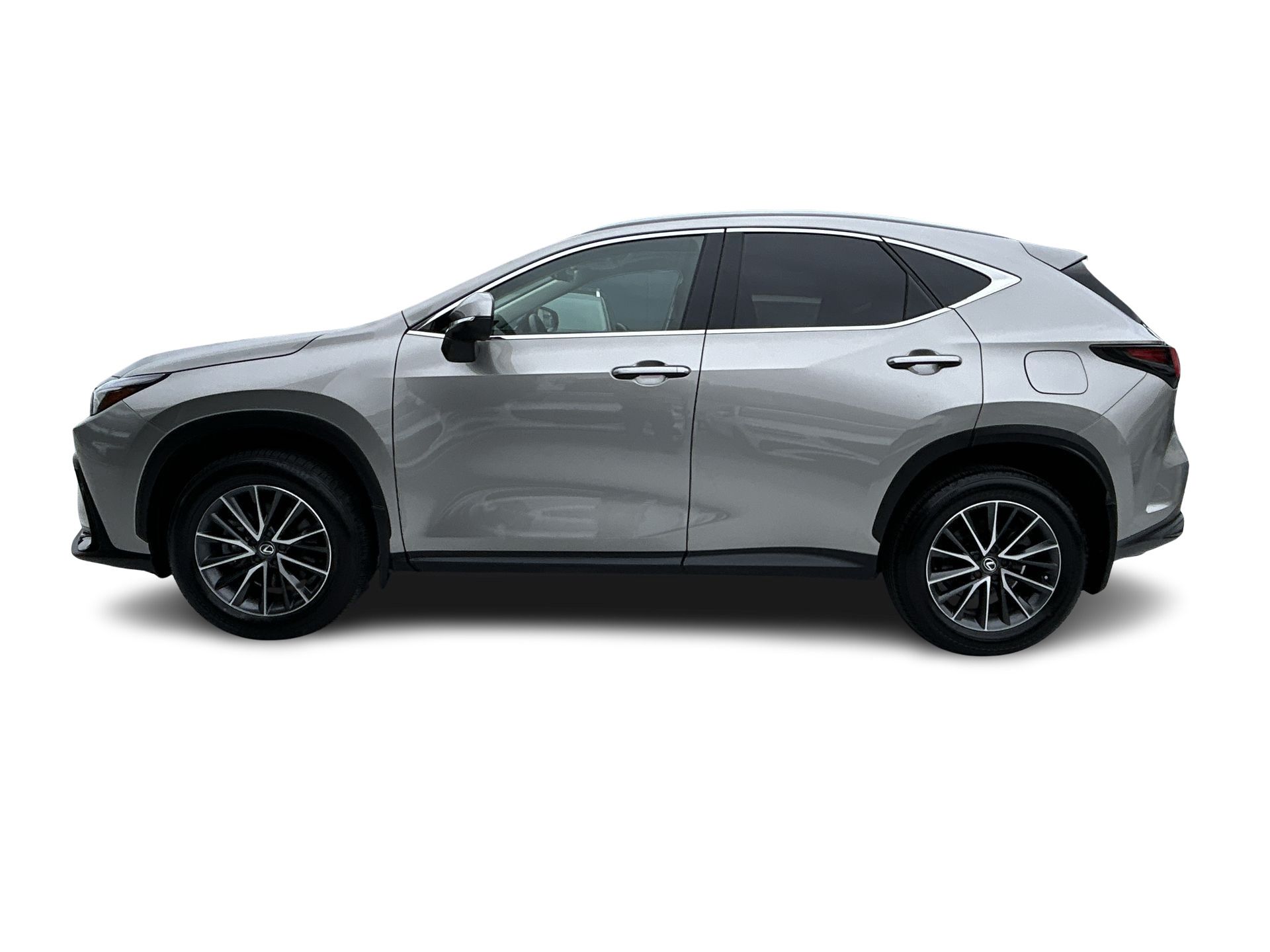 2025  NX