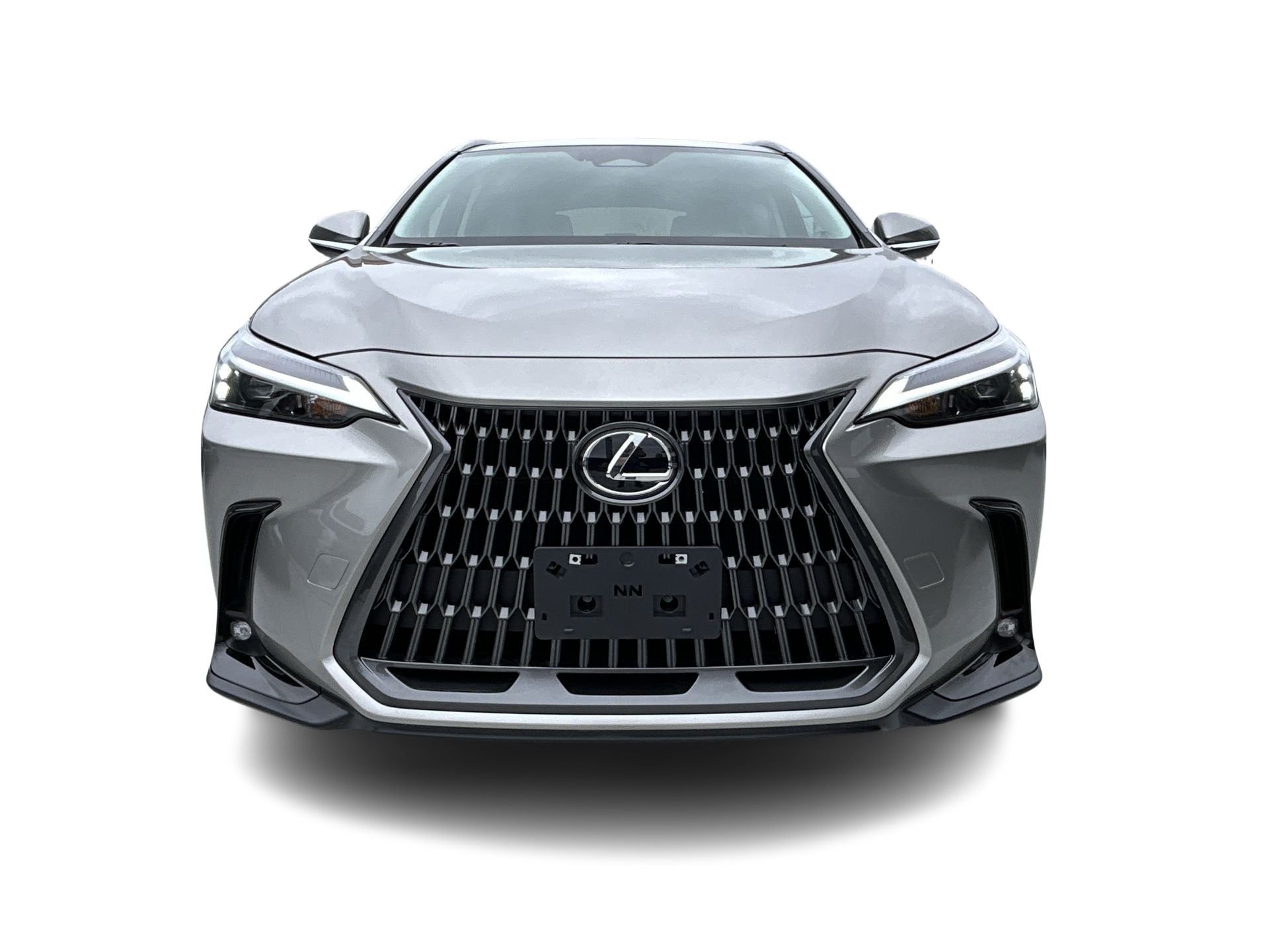 2025  NX